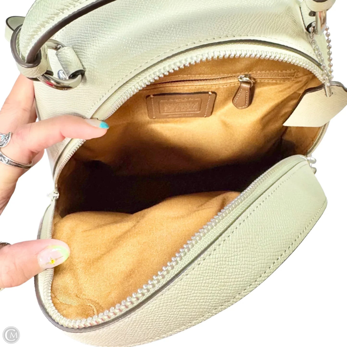 Backpack Designer By Coach, Size: Medium