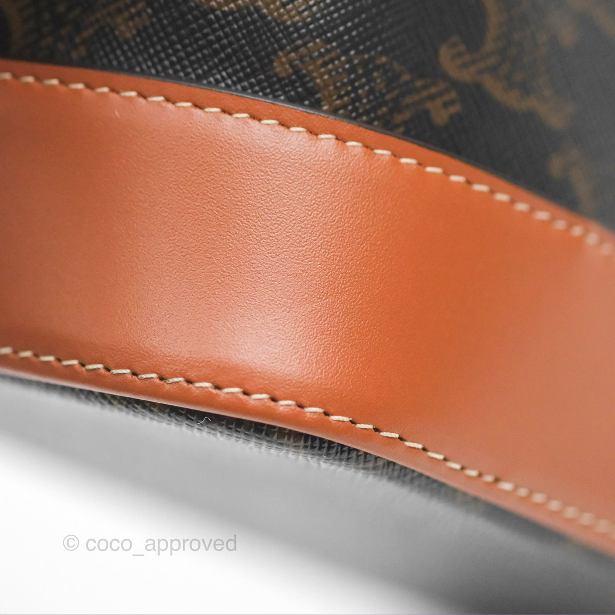 Celine Small Bucket Triomphe Canvas Tan Calfskin