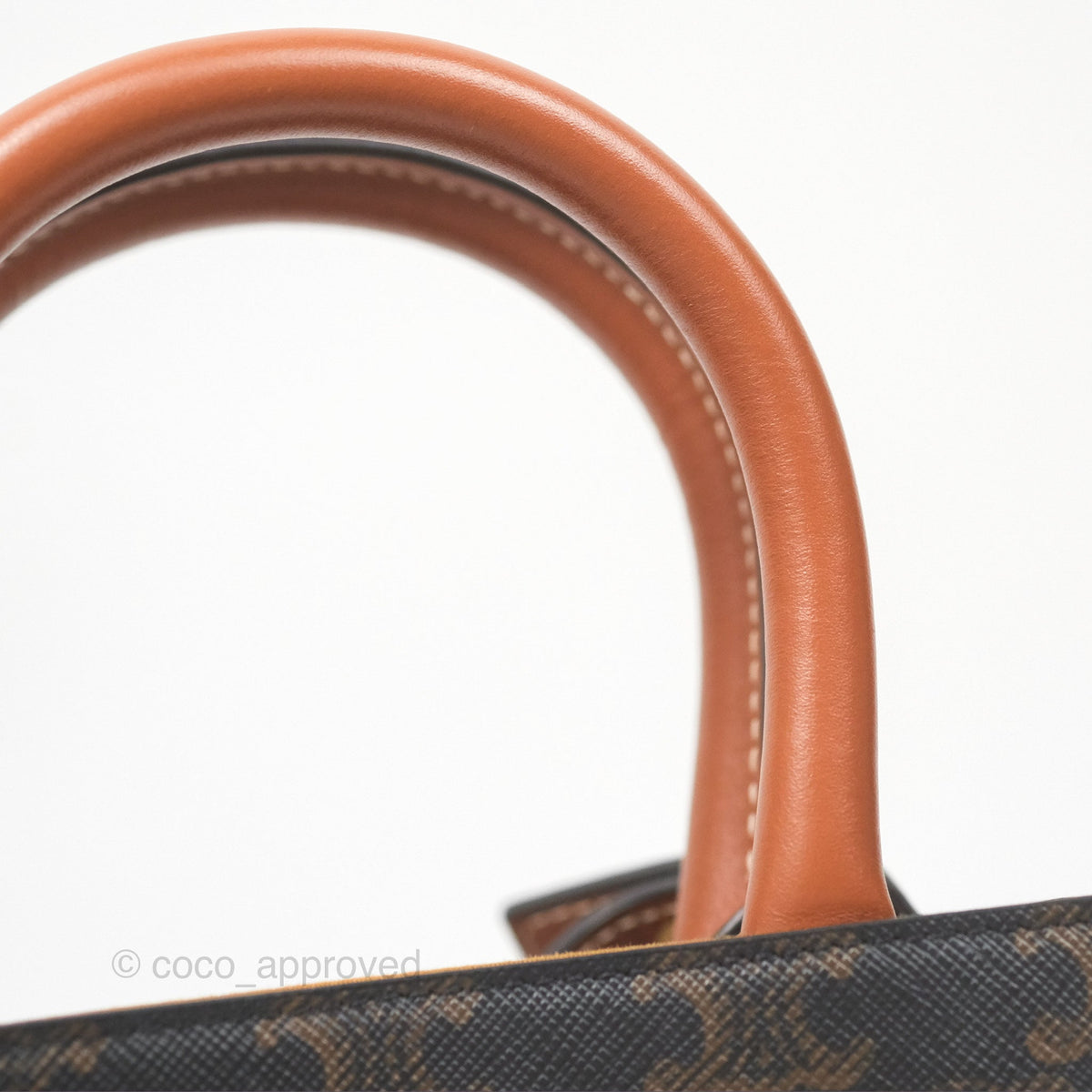 Celine Mini Vertical Cabas Bag Triomphe Canvas Tan