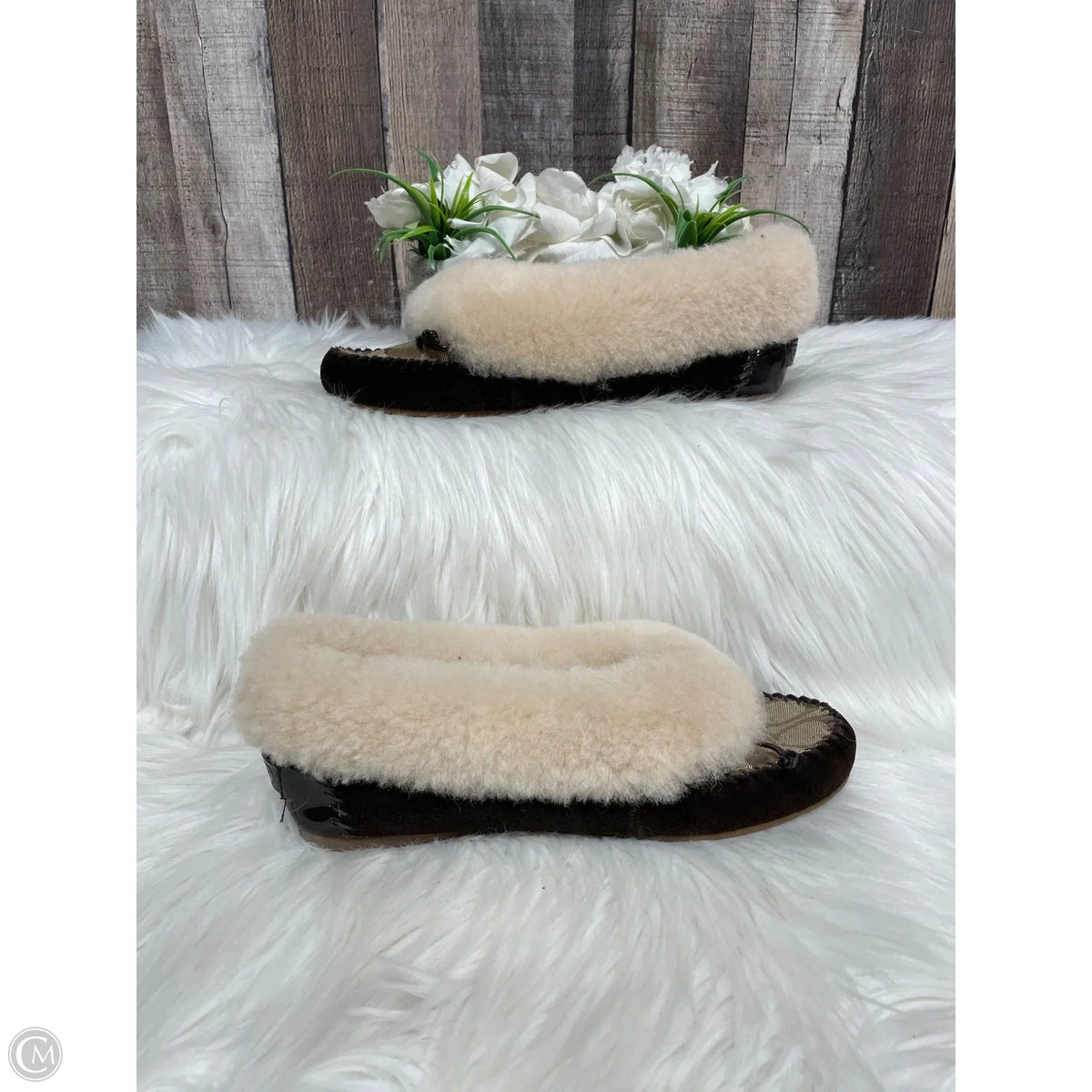 Slippers Designer By Coach In Animal Print