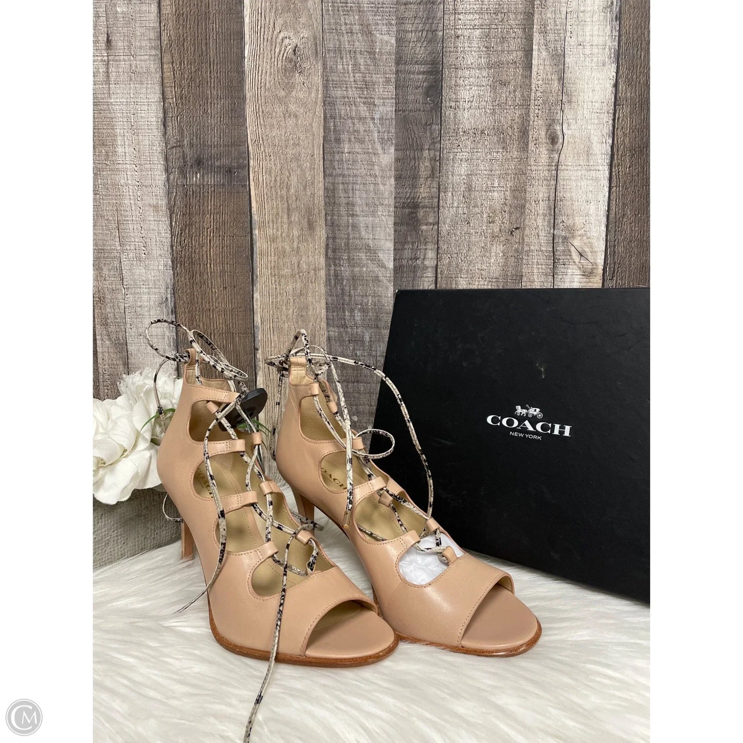 Shoes Designer By Coach In Tan, Size: 9