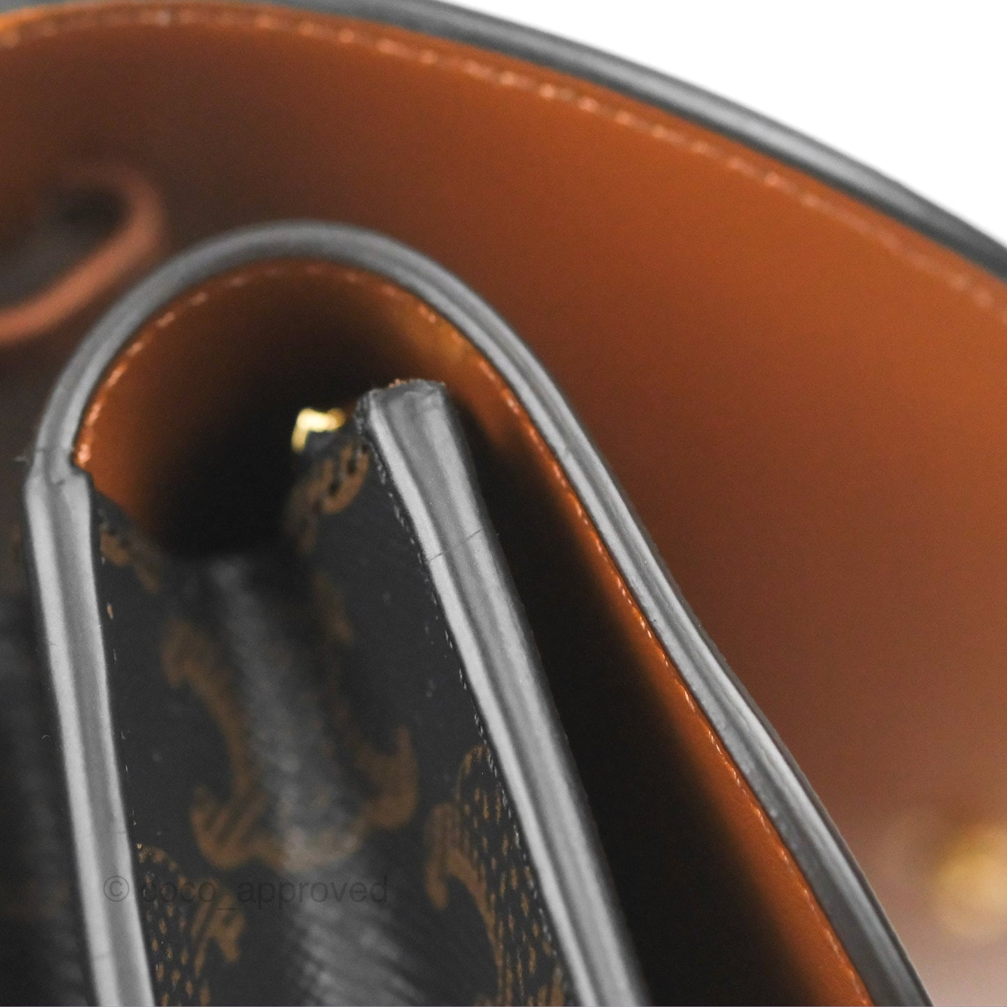 Celine Wallet On Strap Triomphe Canvas Tan Lambskin