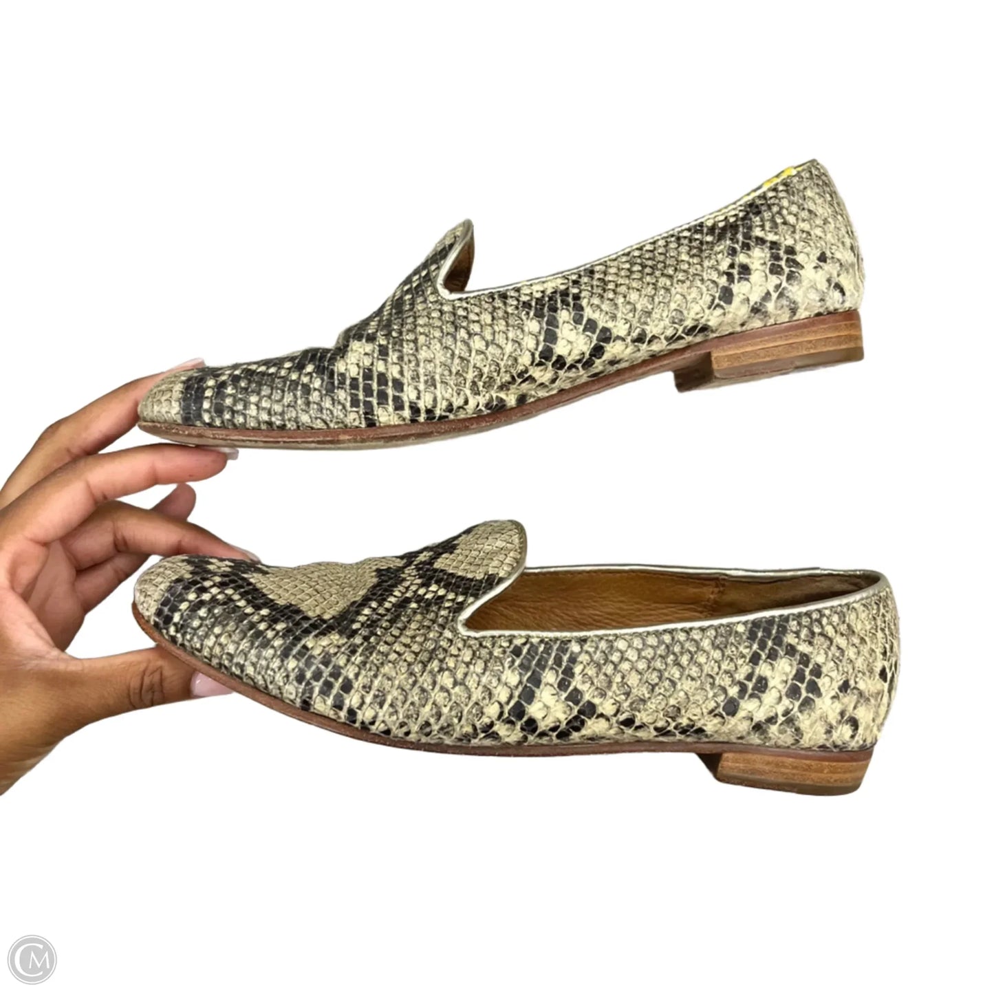 Shoes Designer By Coach In Snakeskin Print, Size: 8