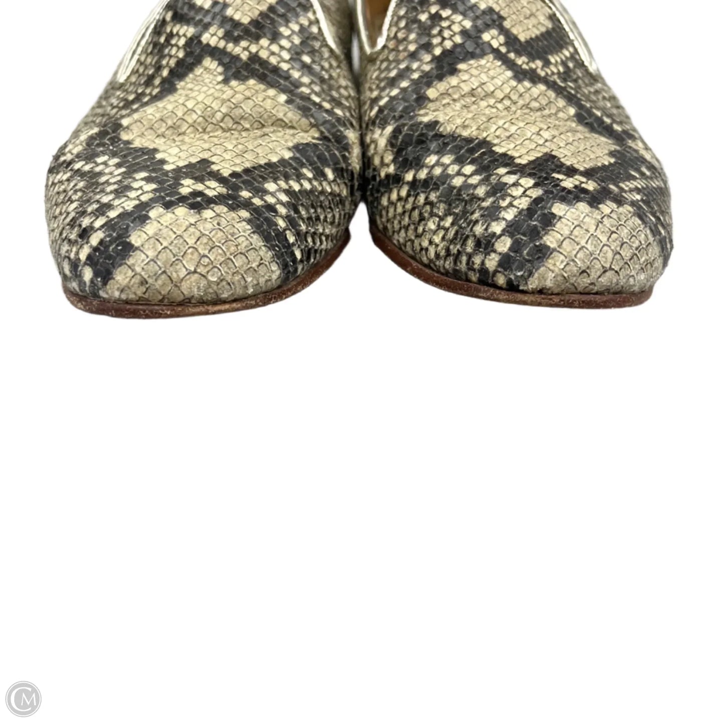 Shoes Designer By Coach In Snakeskin Print, Size: 8