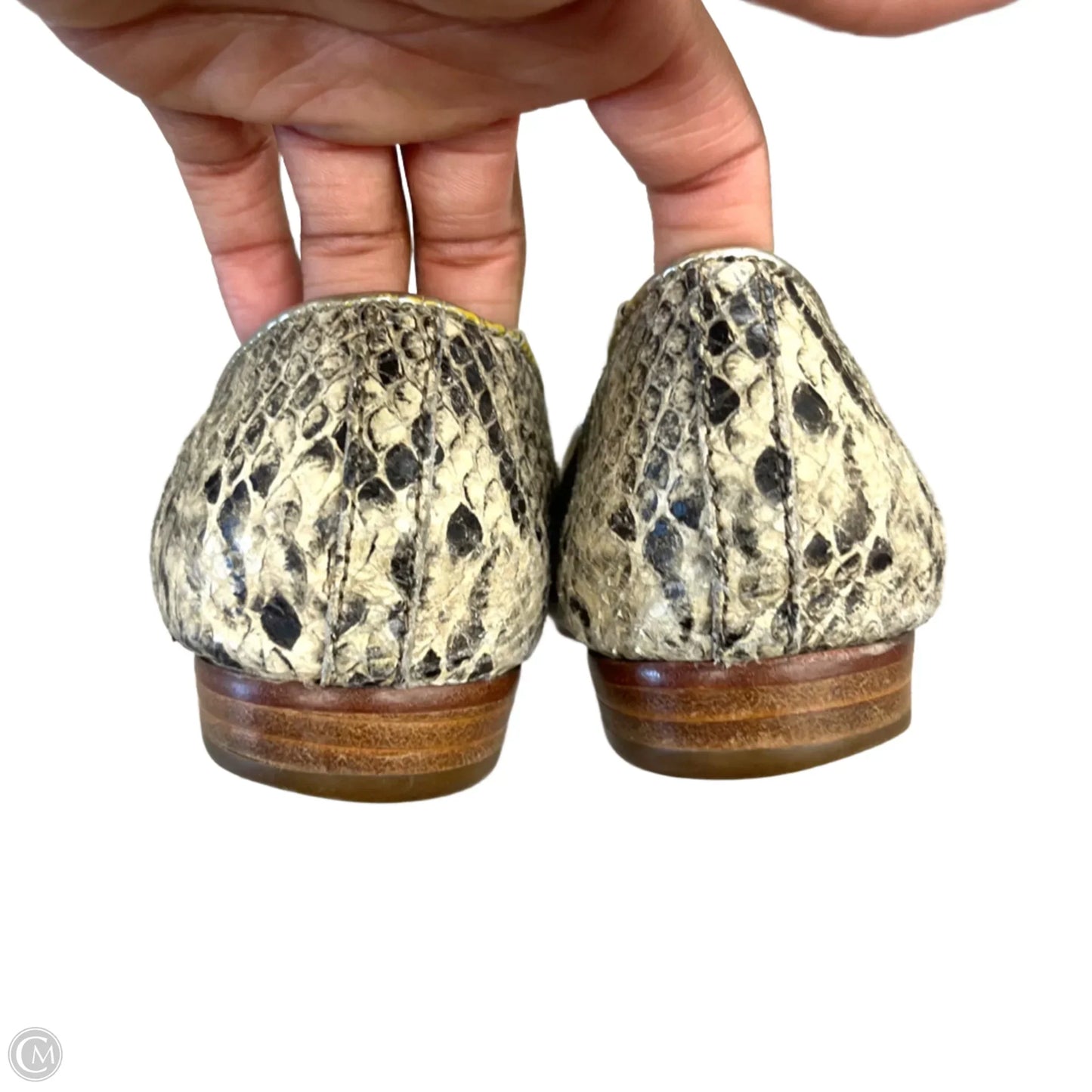 Shoes Designer By Coach In Snakeskin Print, Size: 8