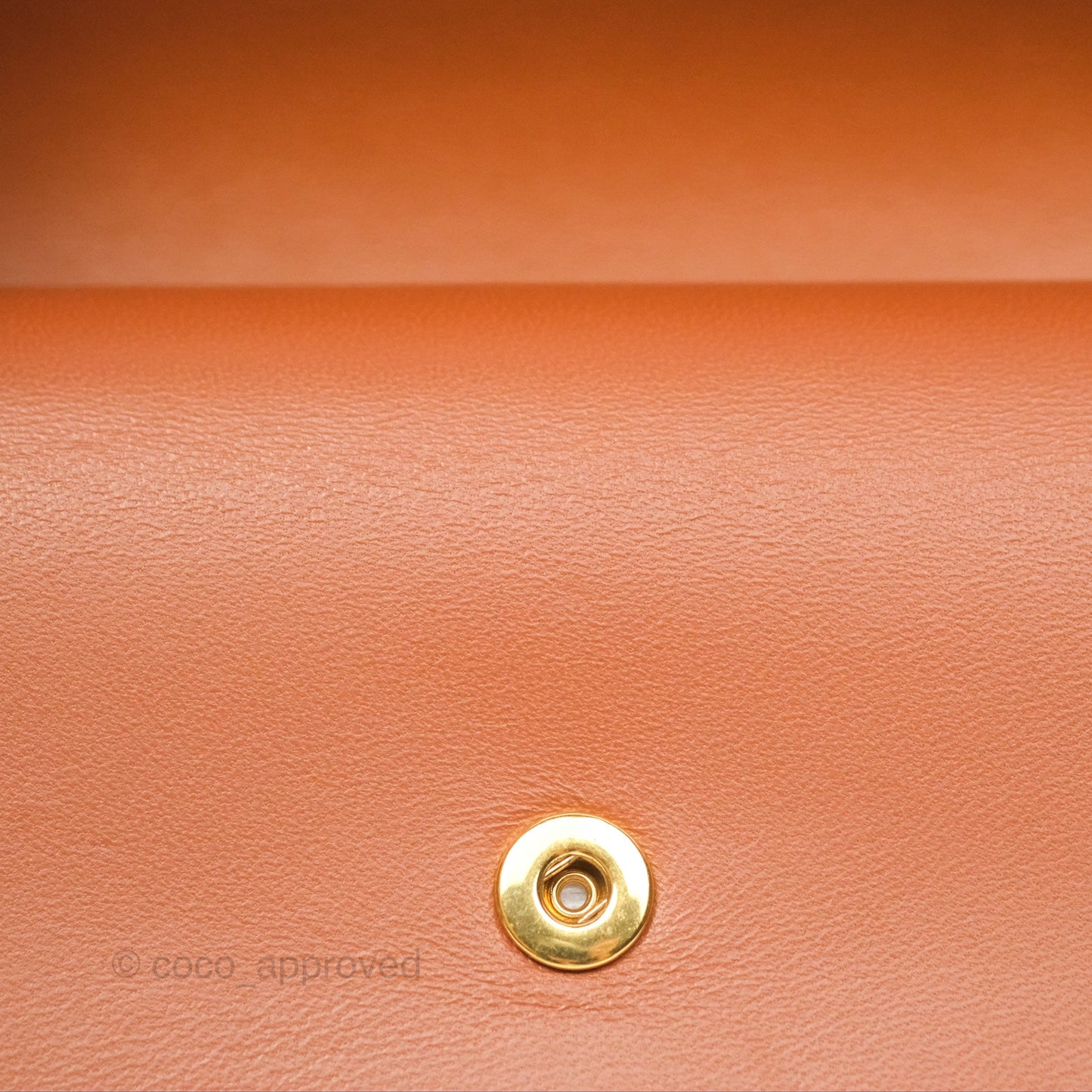 Celine Wallet On Strap Triomphe Canvas Tan Lambskin