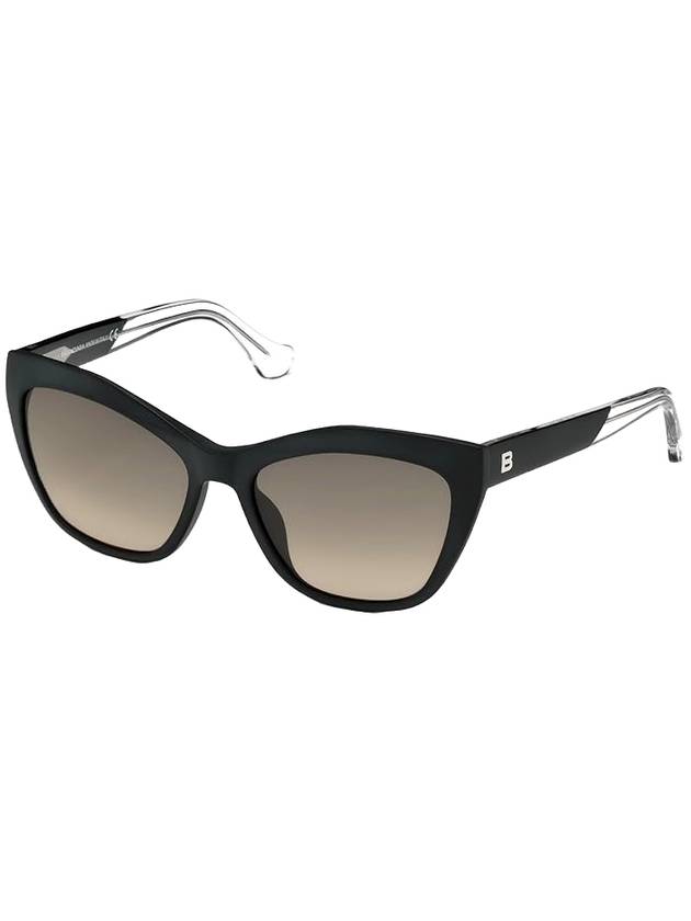 Luxury Balenciaga  Eyewear Matte Frame Sunglasses Black