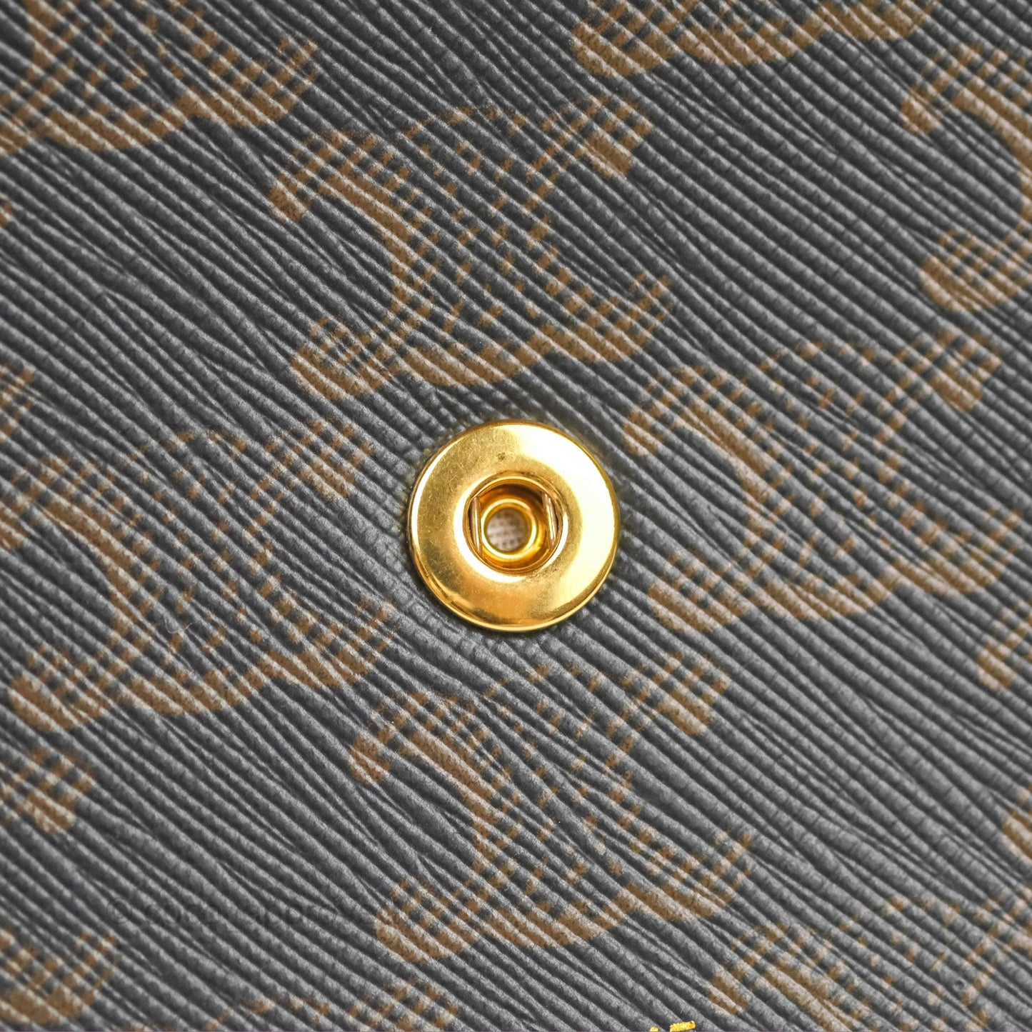 Celine Wallet On Strap Triomphe Canvas Tan Lambskin