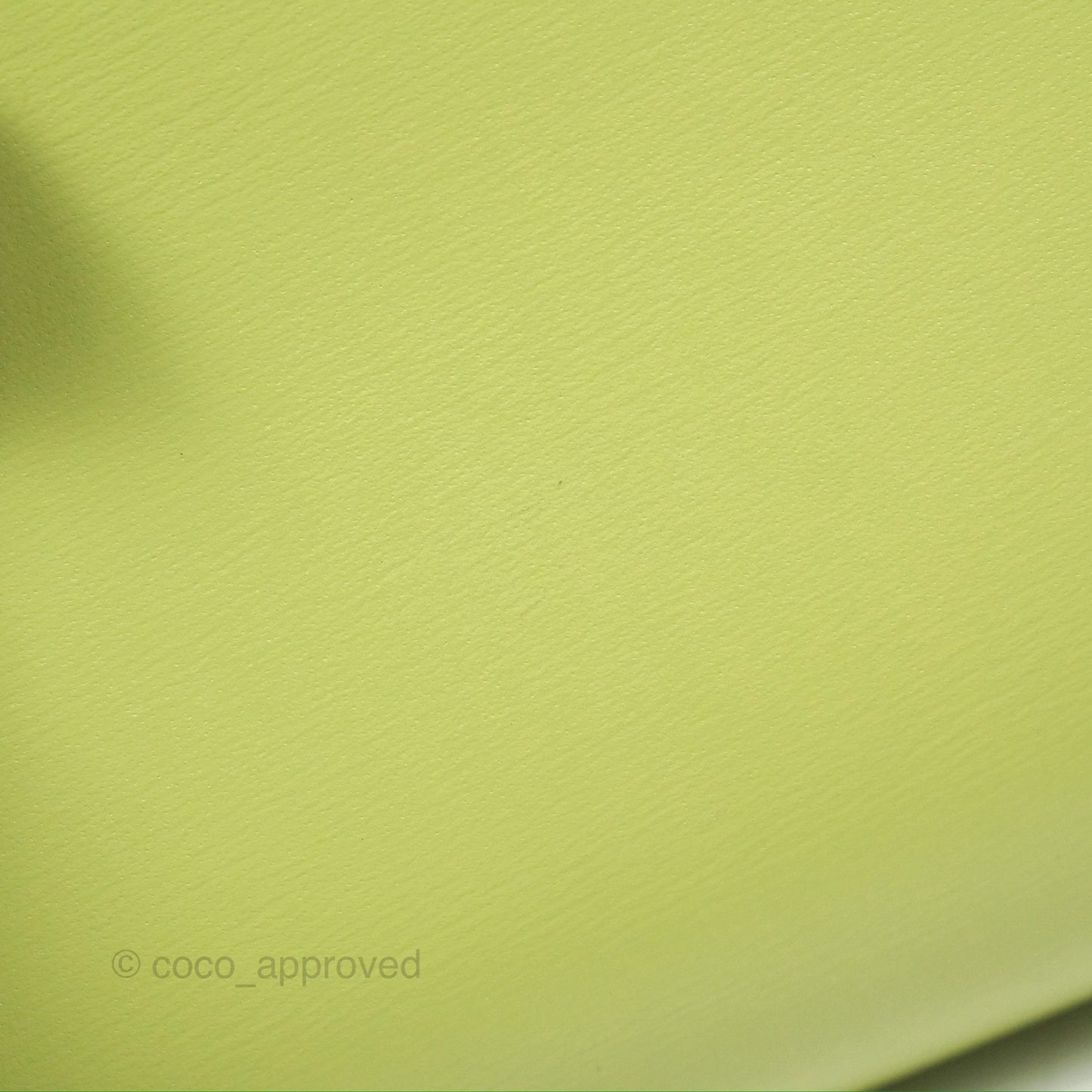 Celine Small Triomphe Flap Wallet Avocado Green Shiny Calfskin