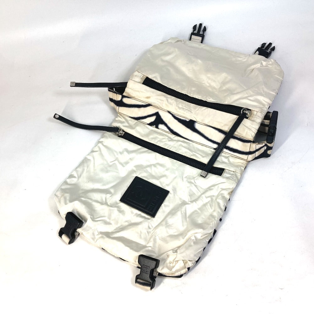 CHANEL Shoulder Bag Nylon black Sports Zebra Pattern Women Used