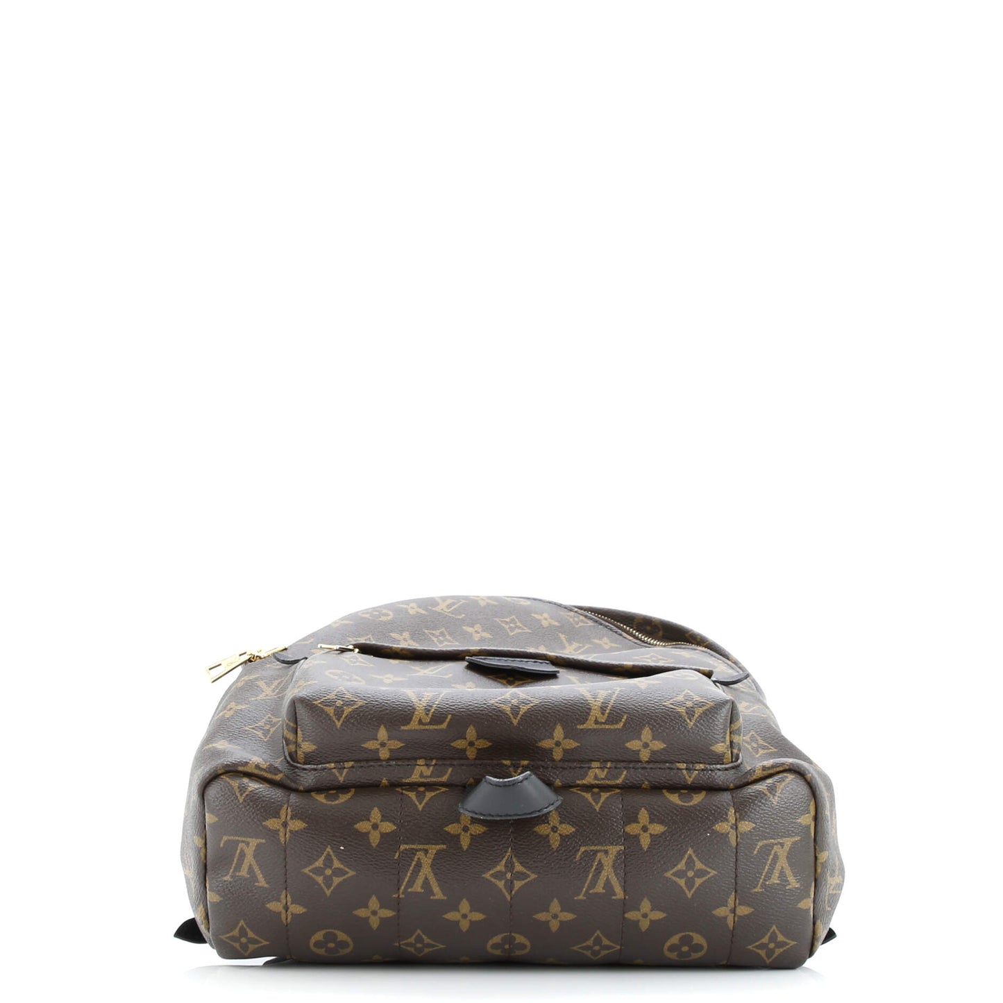 Palm Springs Backpack Monogram Canvas MM