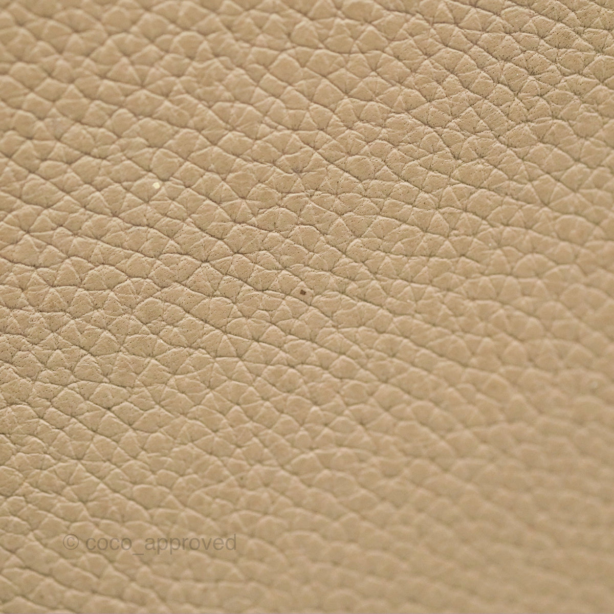 Celine Big Bag Bucket Light Taupe Grained Calfskin