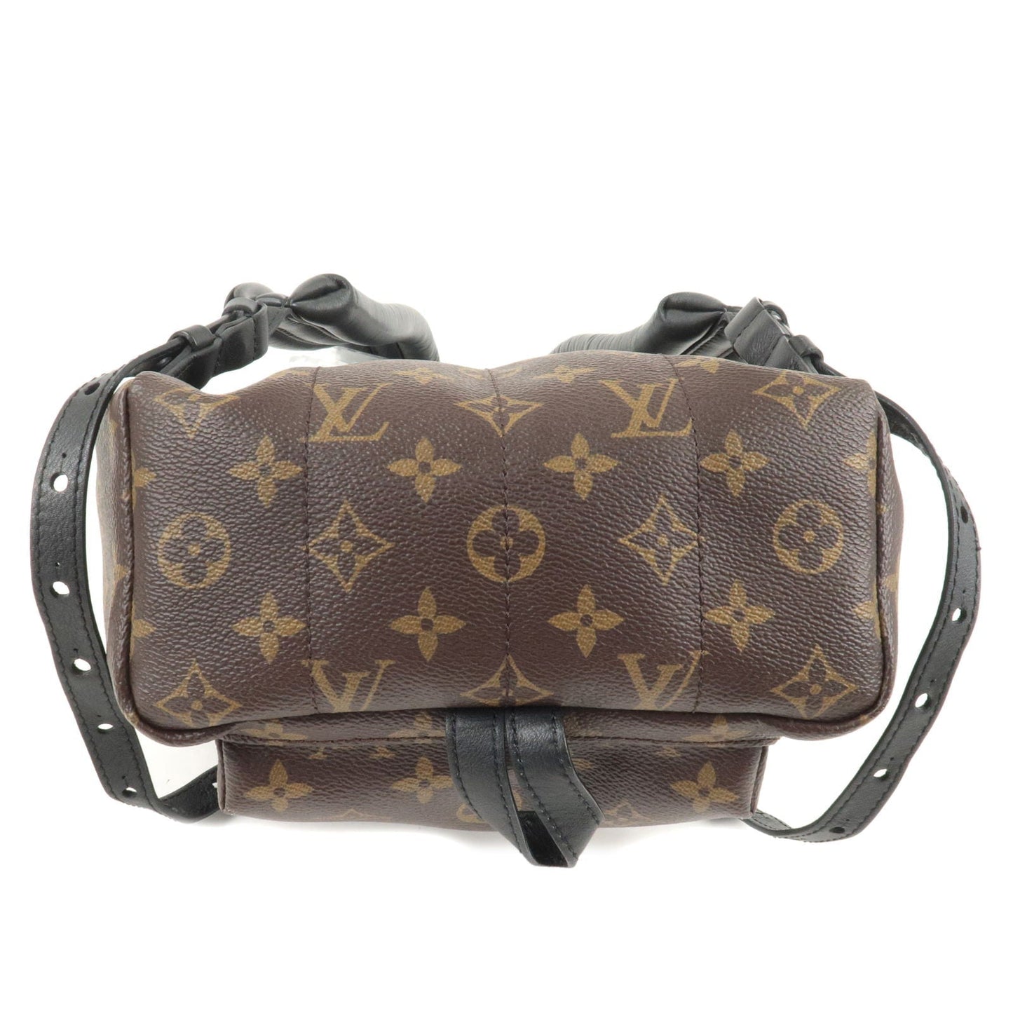 Louis Vuitton Monogram Palm Springs PM Back Pack M41560