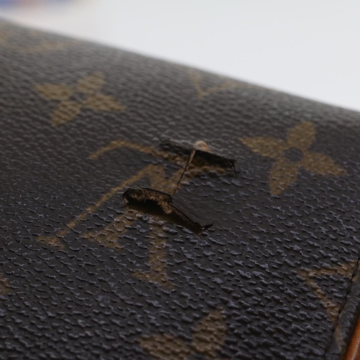 LOUIS VUITTON Monogram Pochette Florentine Waist bag M51855 LV  42967