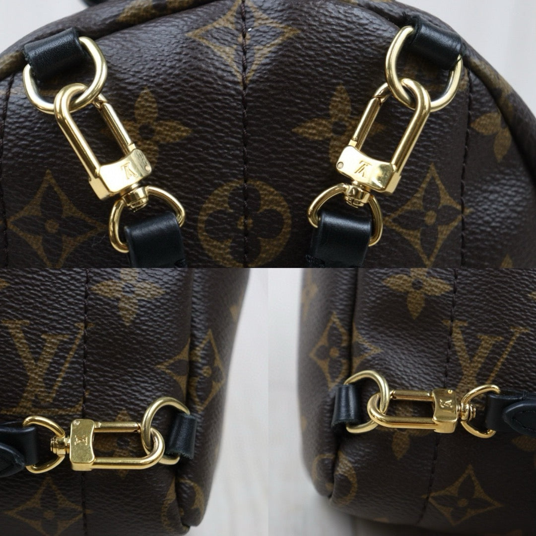 Good ( Rank AB)｜  LV Monogram Coated Canvas Palm Springs Mini Backpack｜S25021013