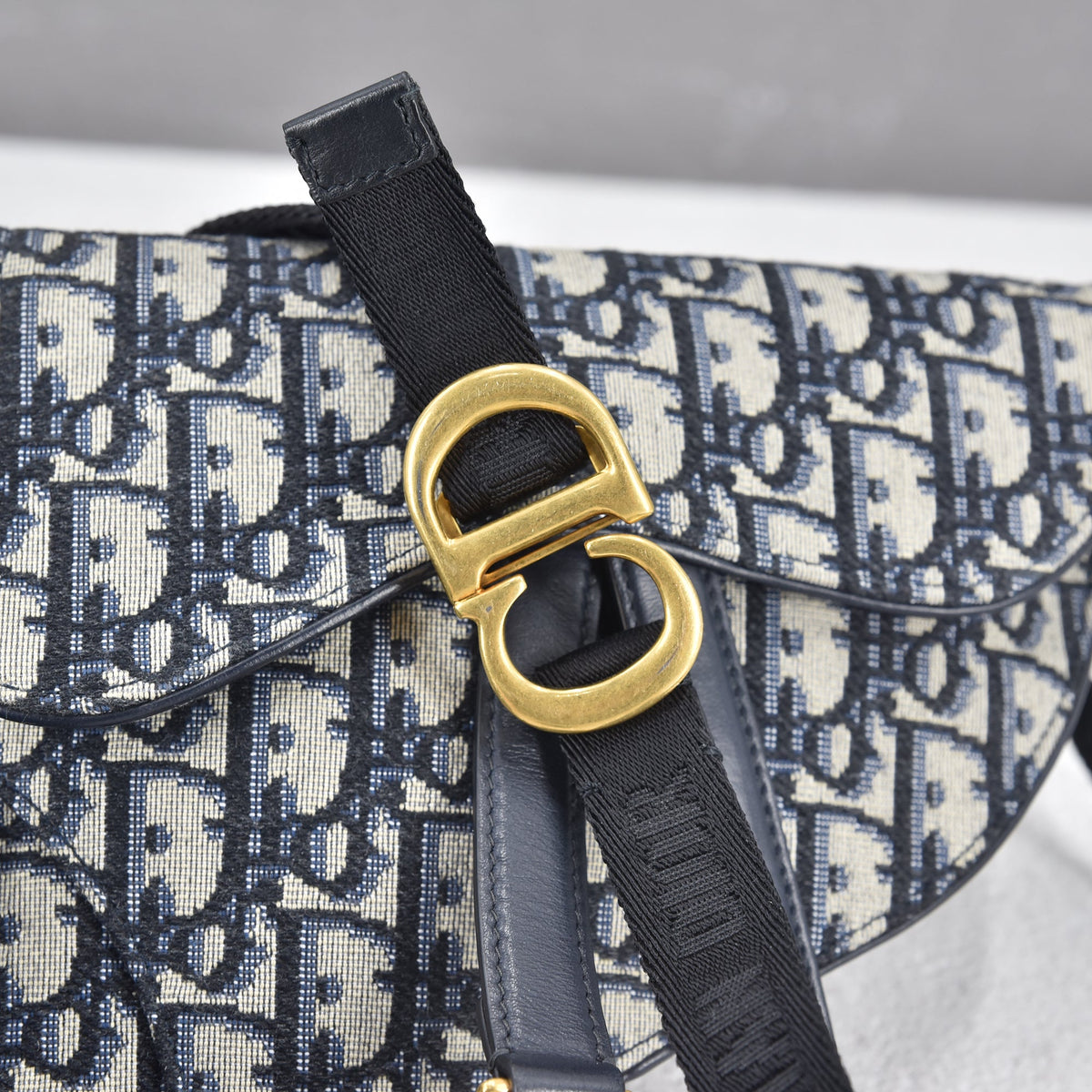 Oblique Canvas Saddle Belt Bag