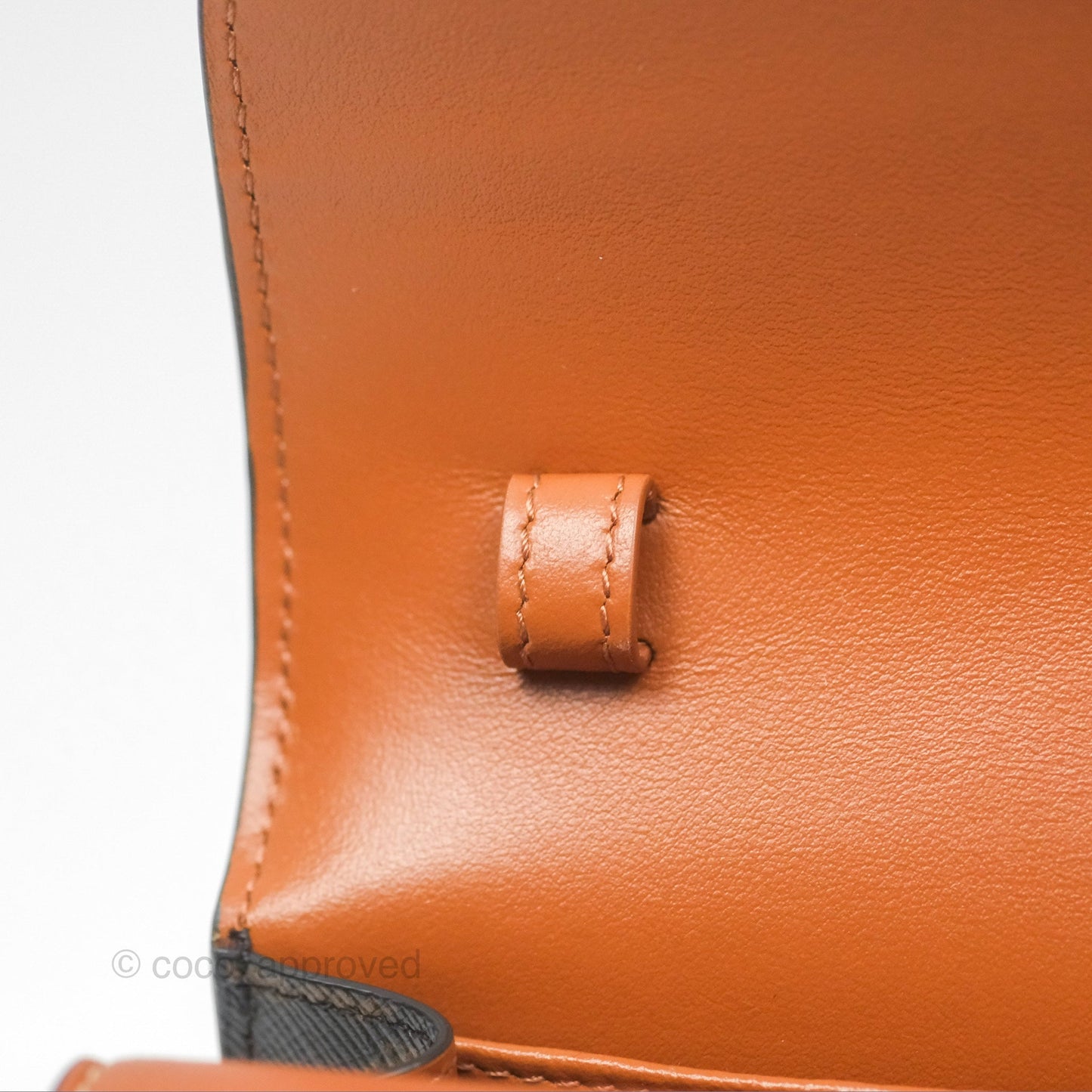 Celine Wallet On Strap Triomphe Canvas Tan Lambskin