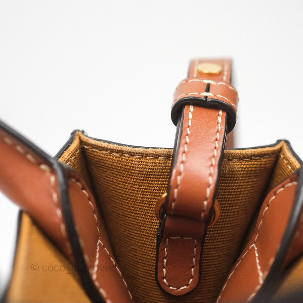 Celine Mini Vertical Cabas Bag Triomphe Canvas Tan