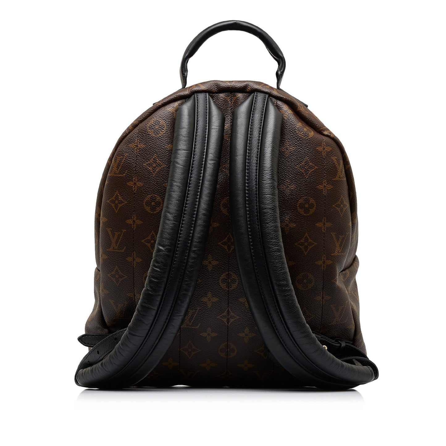 LOUIS VUITTON Monogram Palm Springs MM Backpack