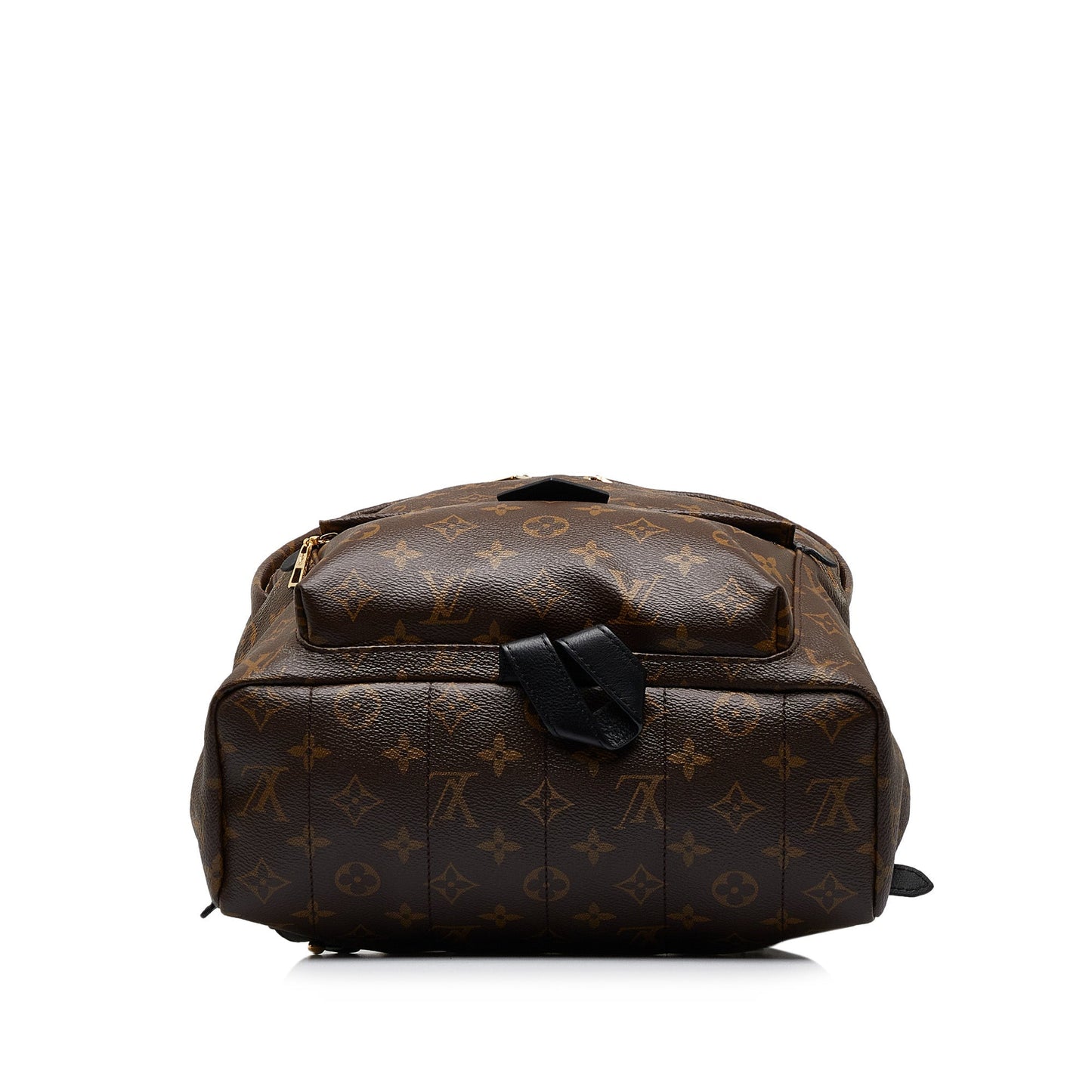 LOUIS VUITTON Monogram Palm Springs MM Backpack