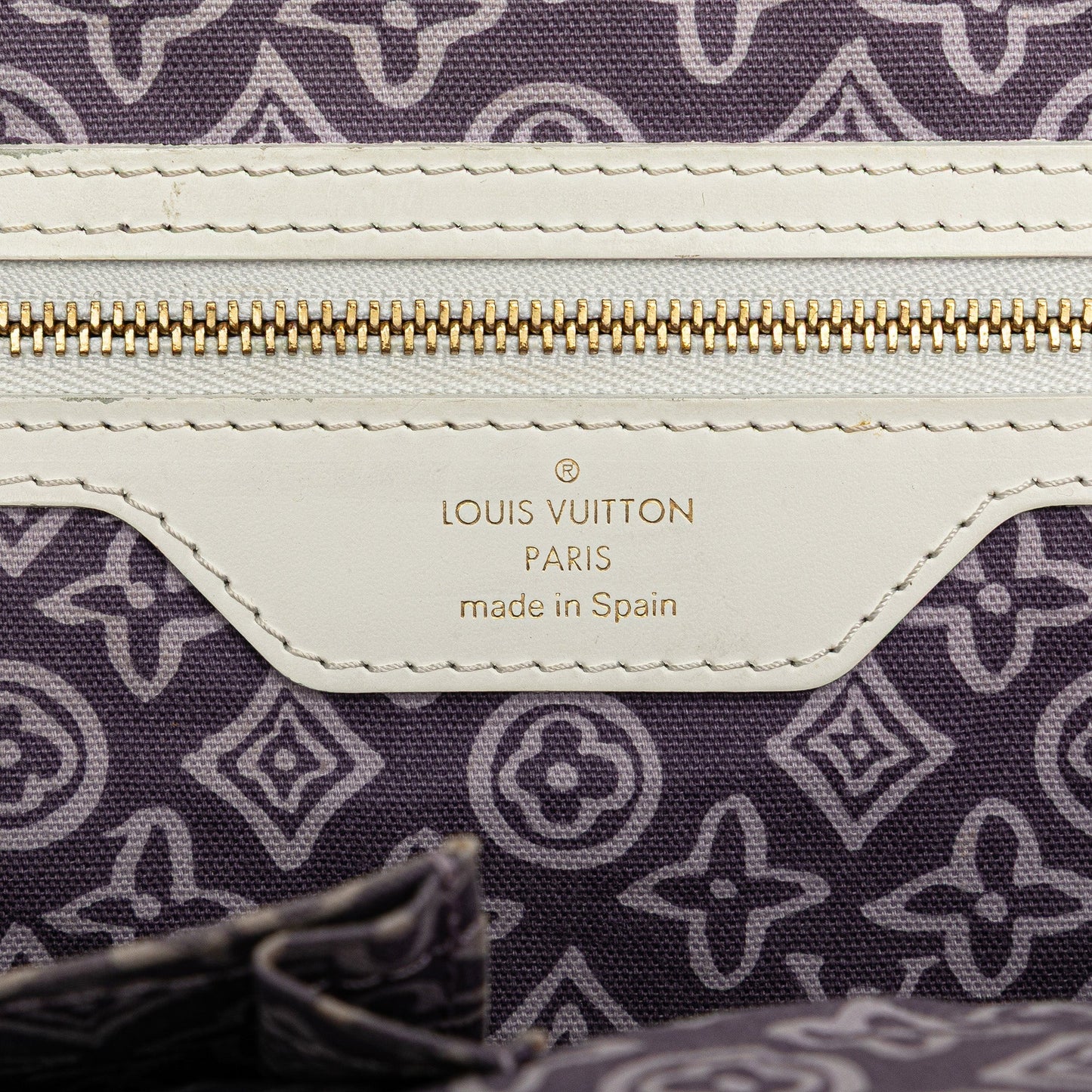 Purple Louis Vuitton Monogram Tahitienne Cabas PM Tote Bag