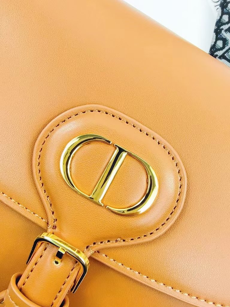 Luxury Handbags Christian Dior 227