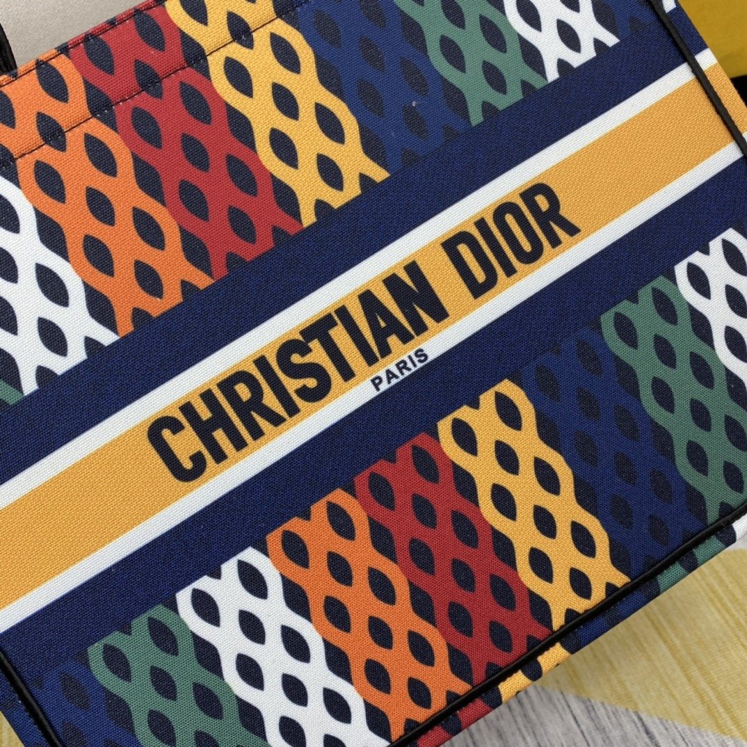 Luxury Handbags Christian Dior 063