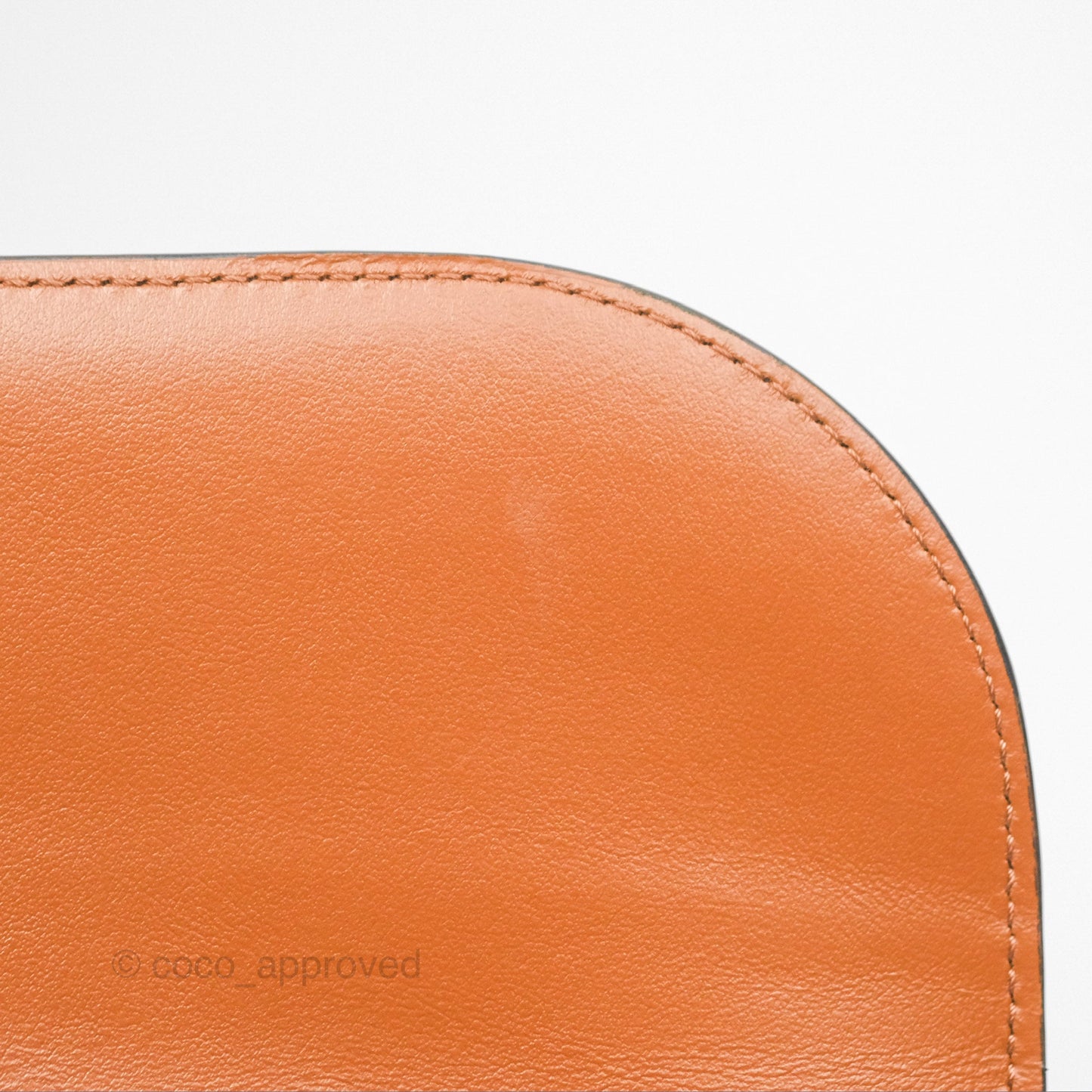 Celine Wallet On Strap Triomphe Canvas Tan Lambskin