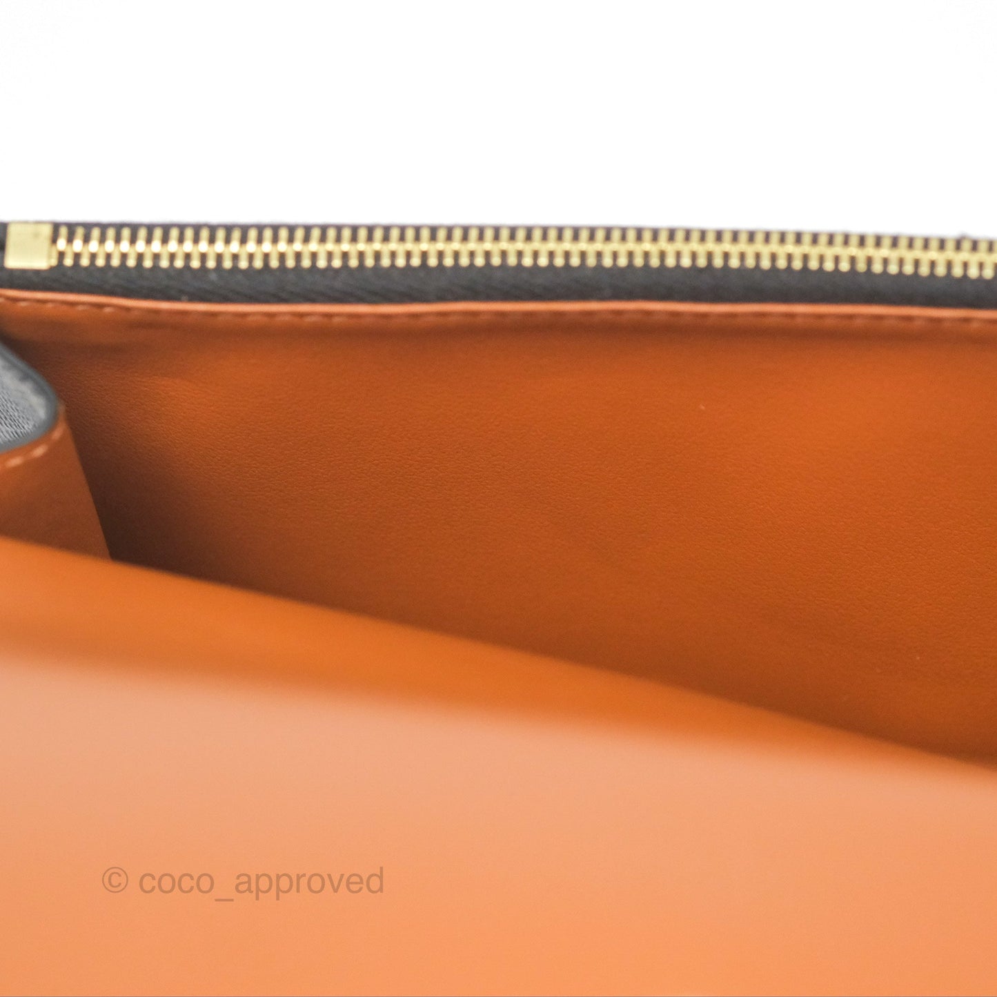 Celine Wallet On Strap Triomphe Canvas Tan Lambskin