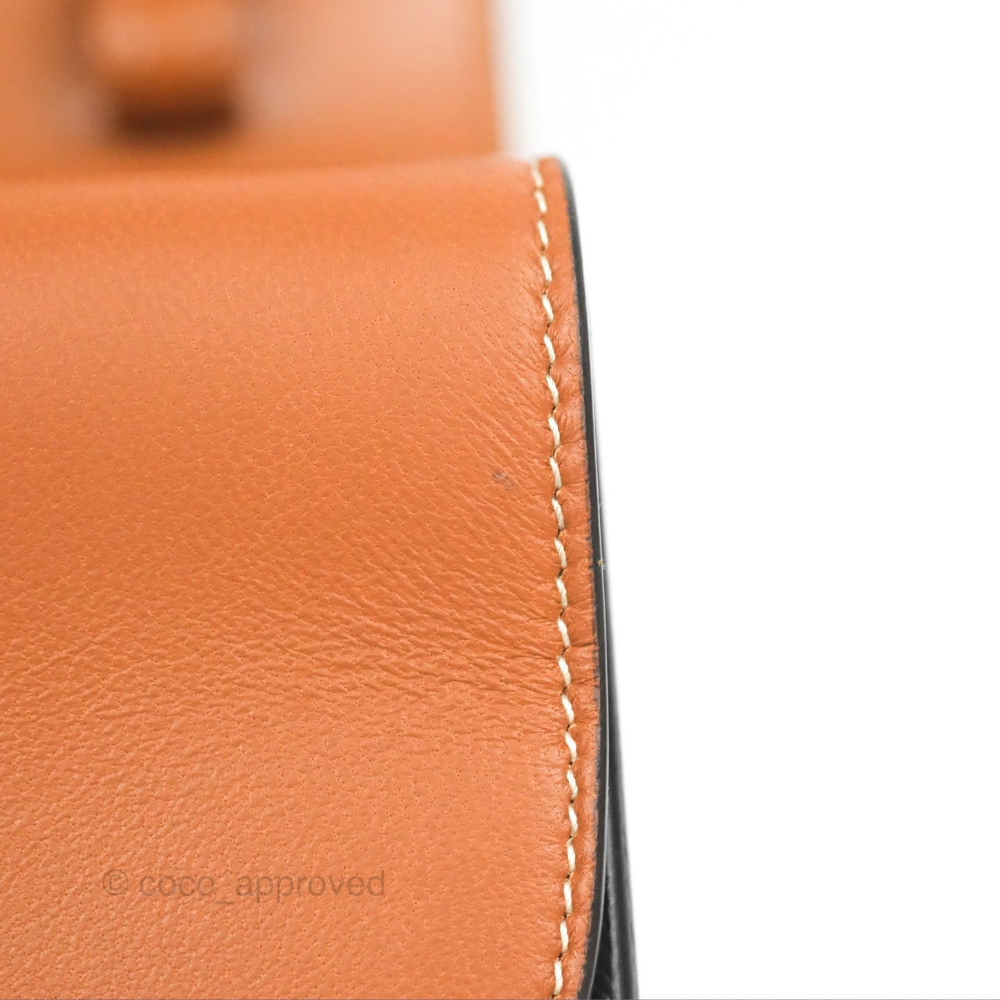 Celine Wallet On Strap Triomphe Canvas Tan Lambskin