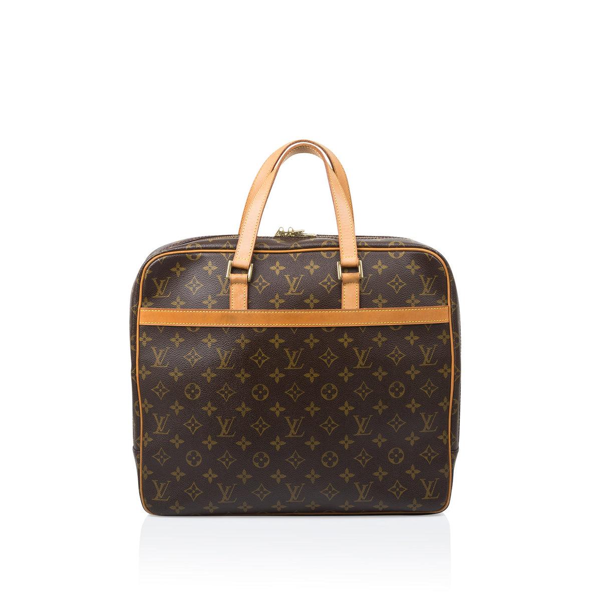 Pegase Laptop Bag