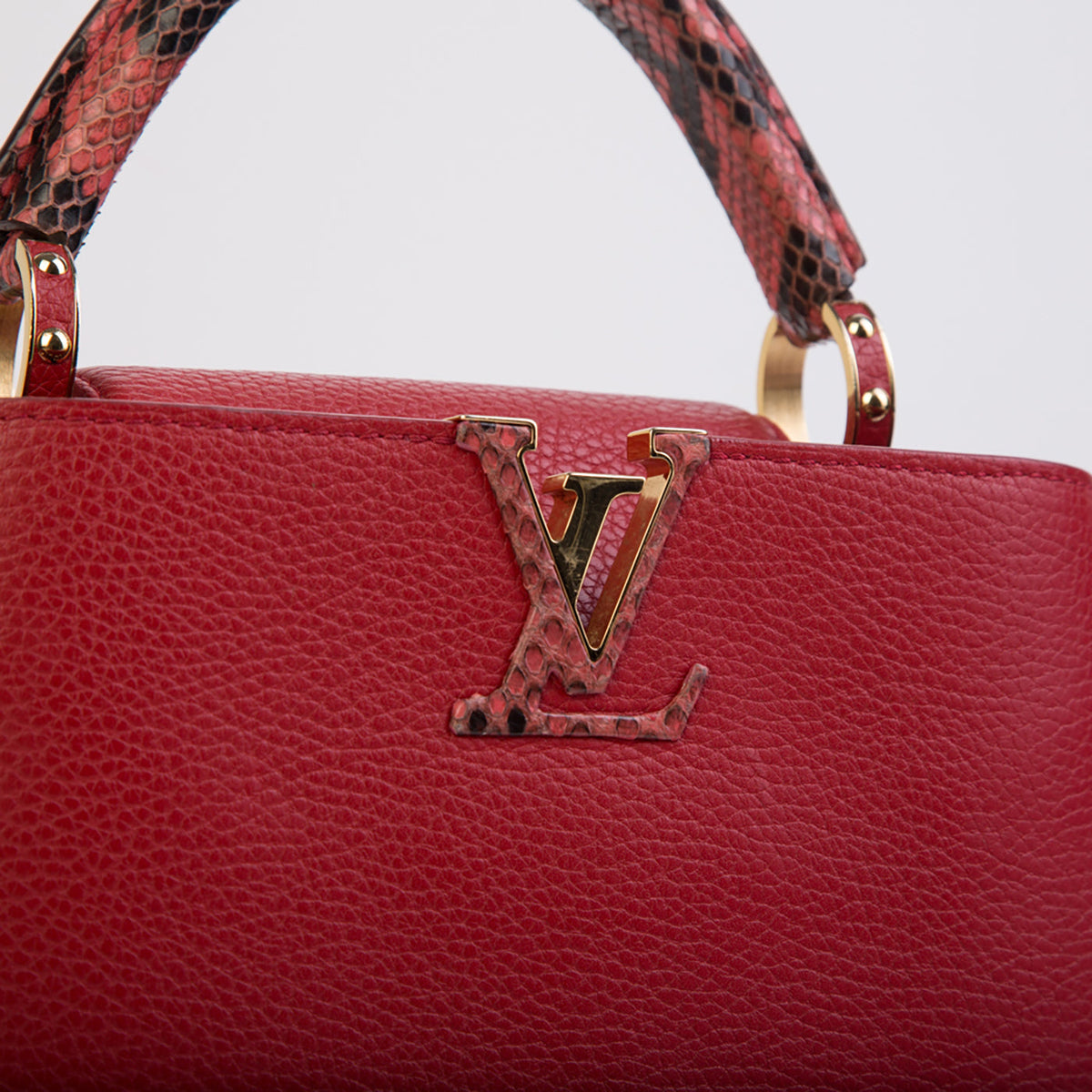 Capucines BB Python