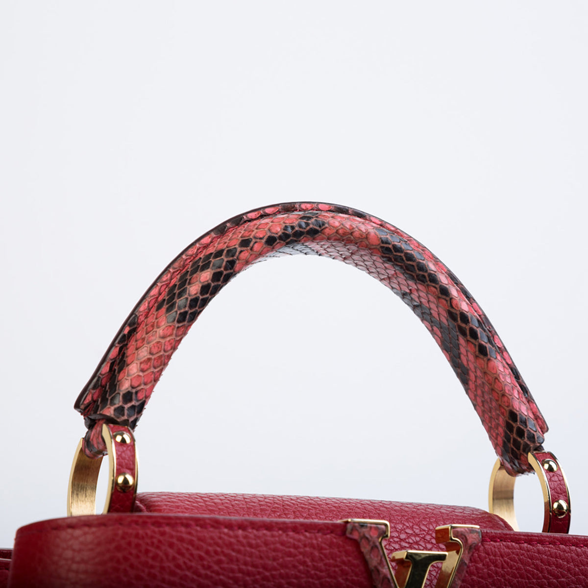 Capucines BB Python