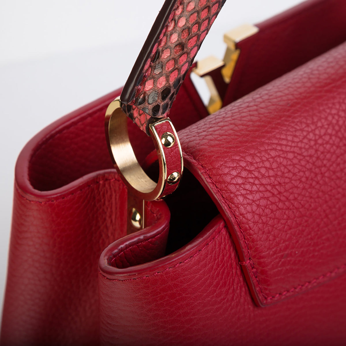 Capucines BB Python
