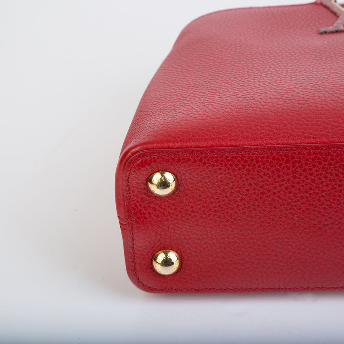 Capucines BB Python