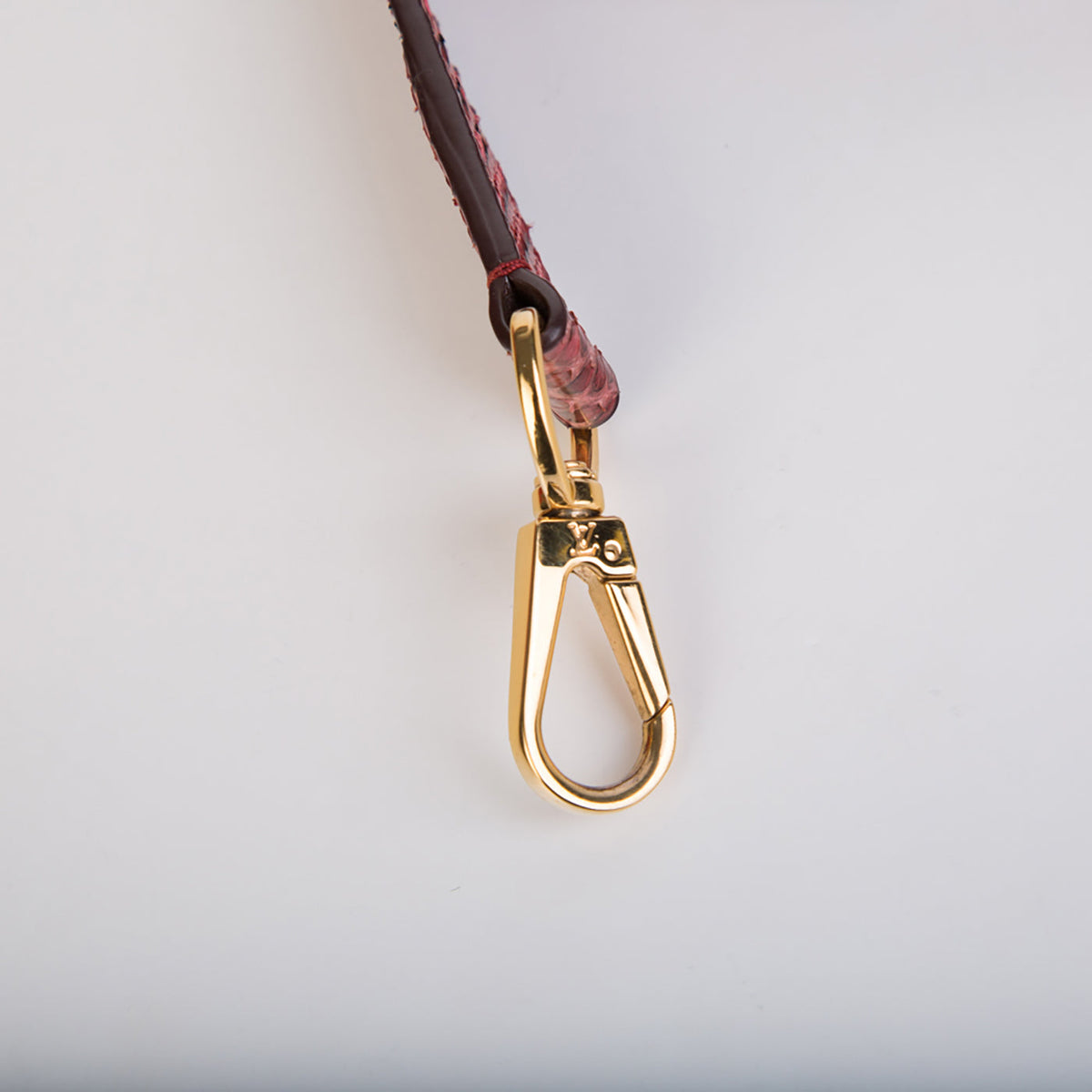 Capucines BB Python