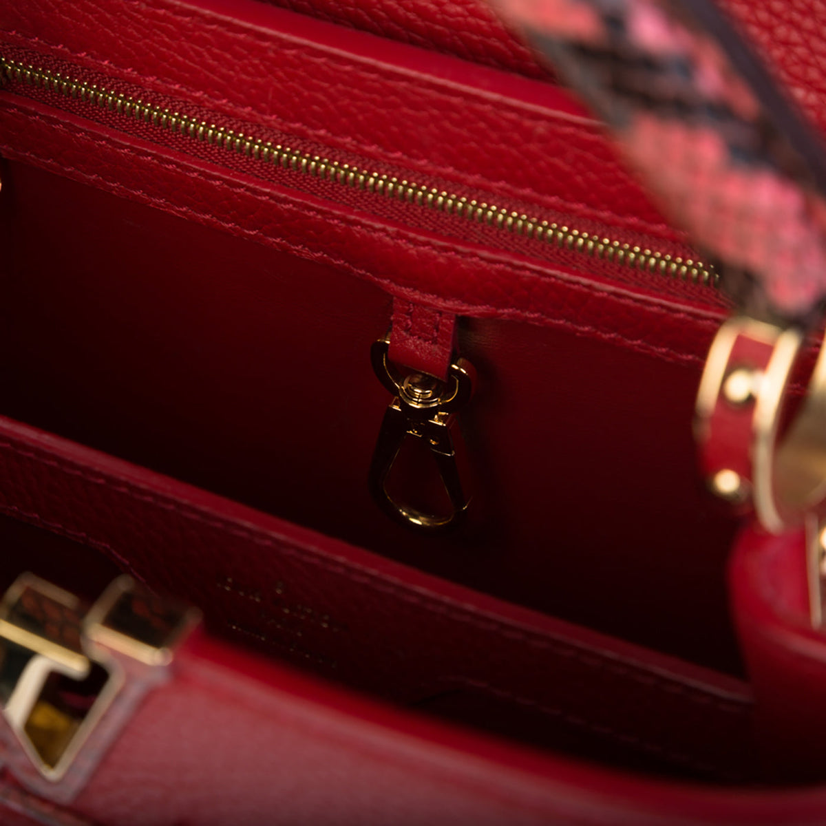 Capucines BB Python