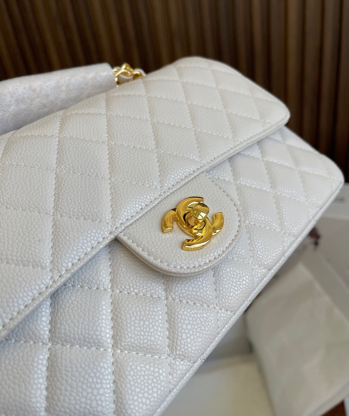 Luxury Edition Bags CH-L 329