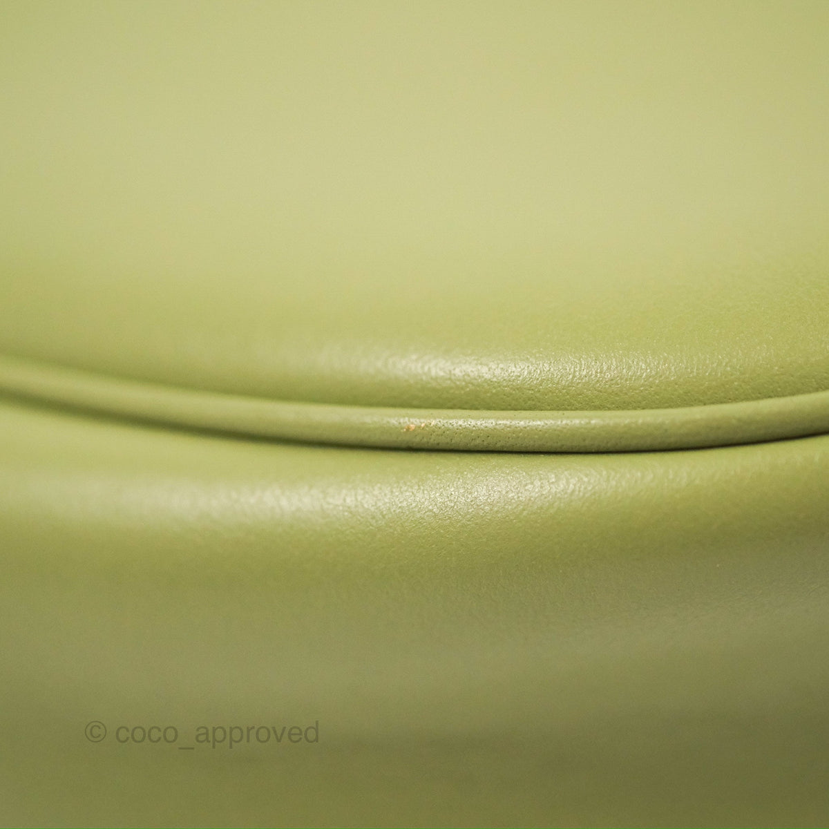 Celine Ava Bag Avocado Green Calfskin