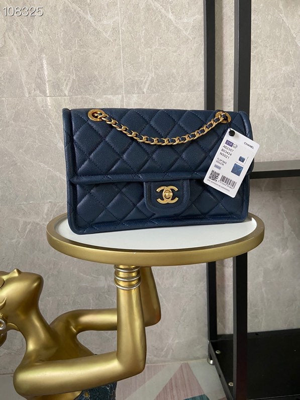 The Arid Bag Shop new Luxury  - Chanel Bags - 565
