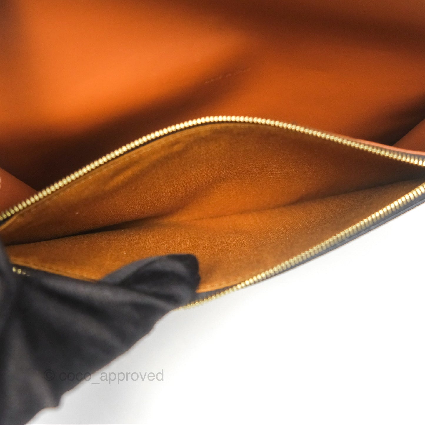 Celine Wallet On Strap Triomphe Canvas Tan Lambskin