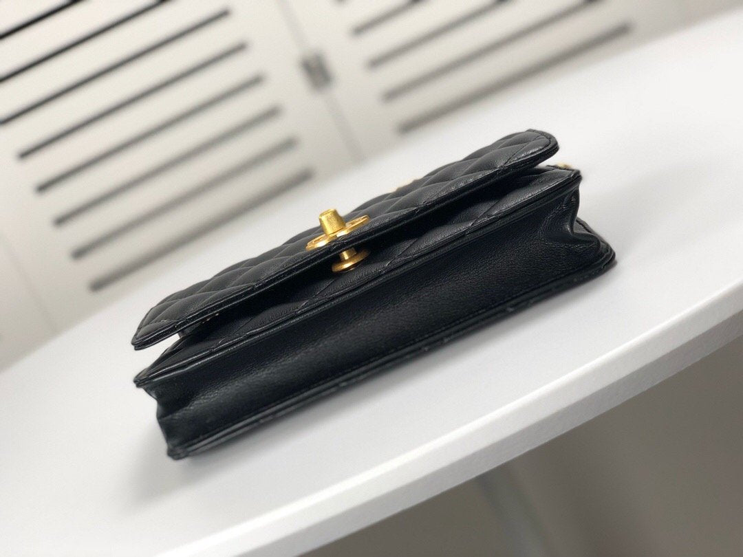 Luxury Edition Bags CH-L 081