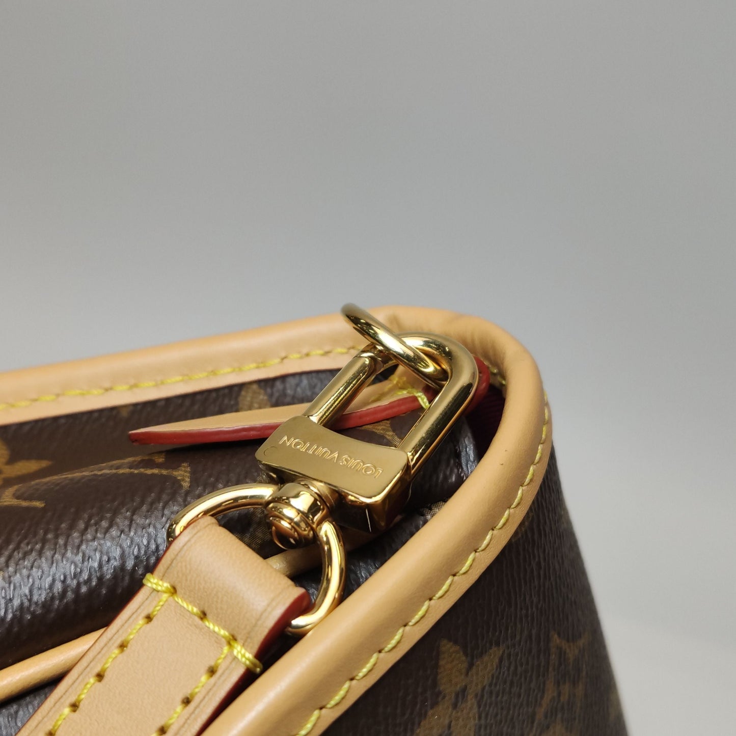 Preloved Louis Vuitton Diane Monogram Crossbody Shoulder Bag Microchip 250502781175419