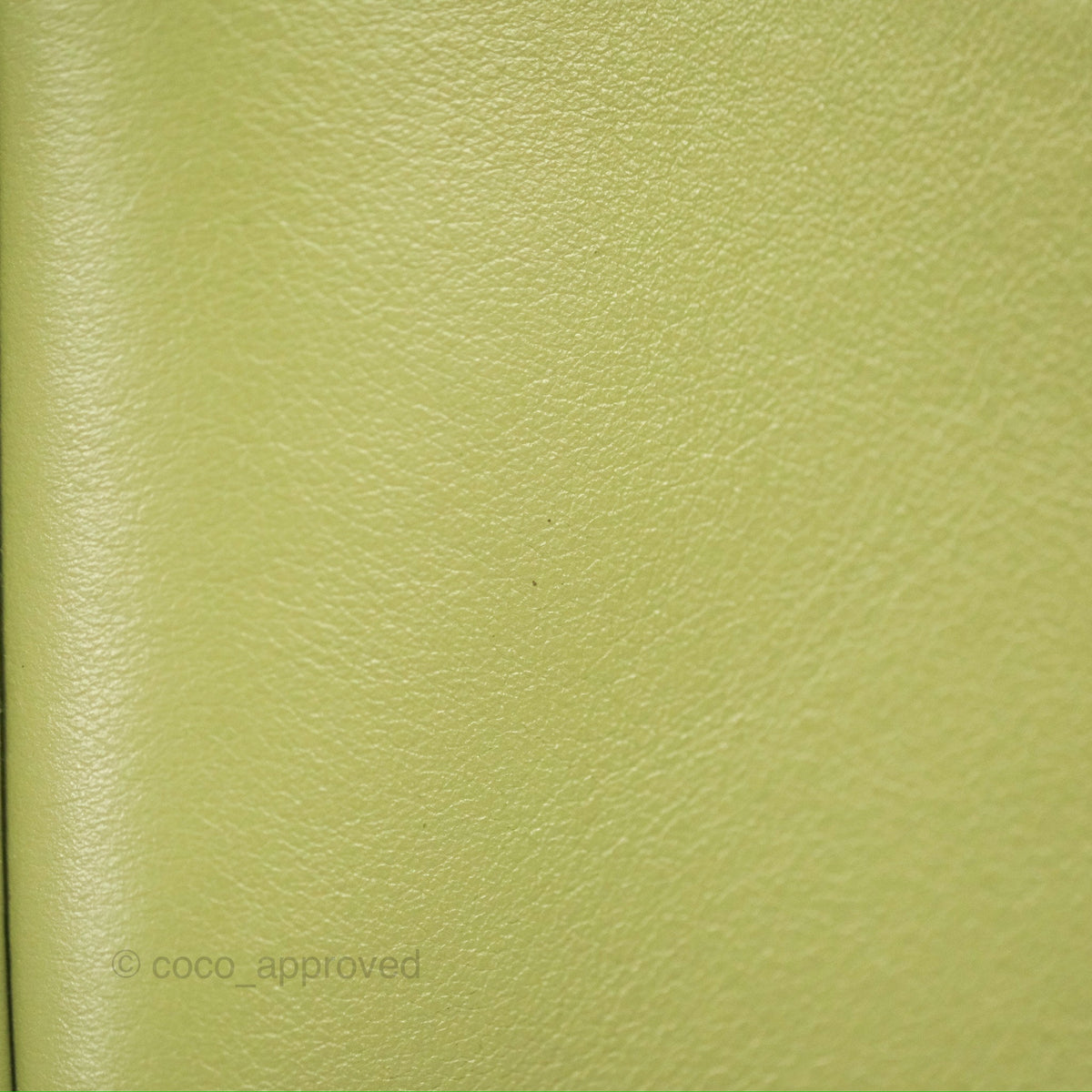 Celine Ava Bag Avocado Green Calfskin