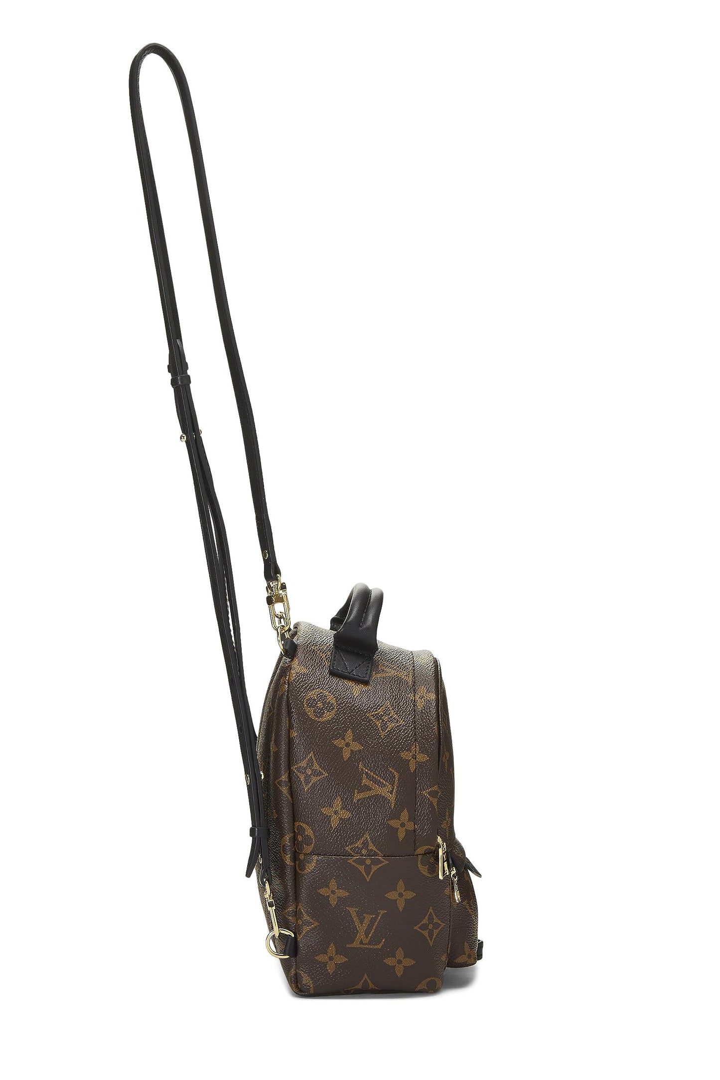 Louis Vuitton,  Monogram Canvas Palm Springs Backpack Mini, Brown