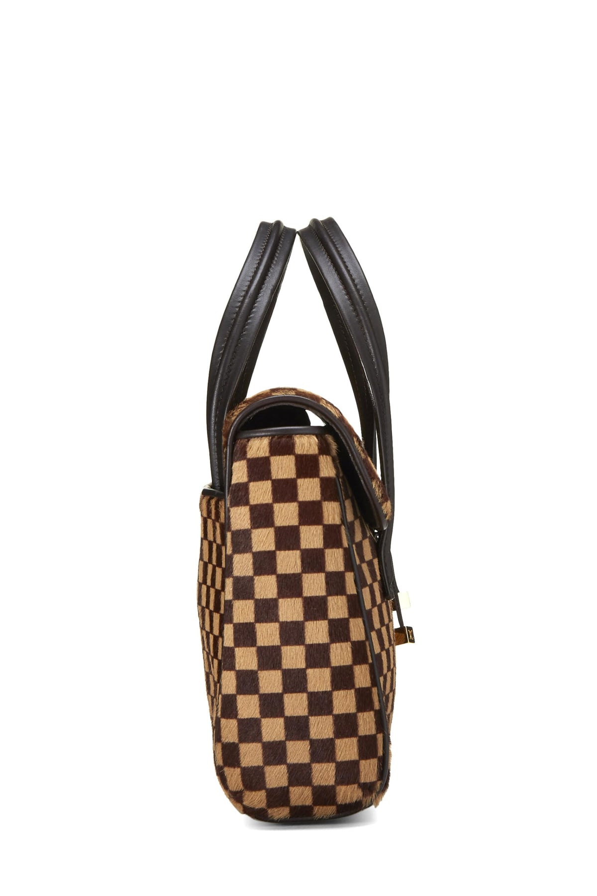 Louis Vuitton,  Brown Damier Sauvage Lion, Brown