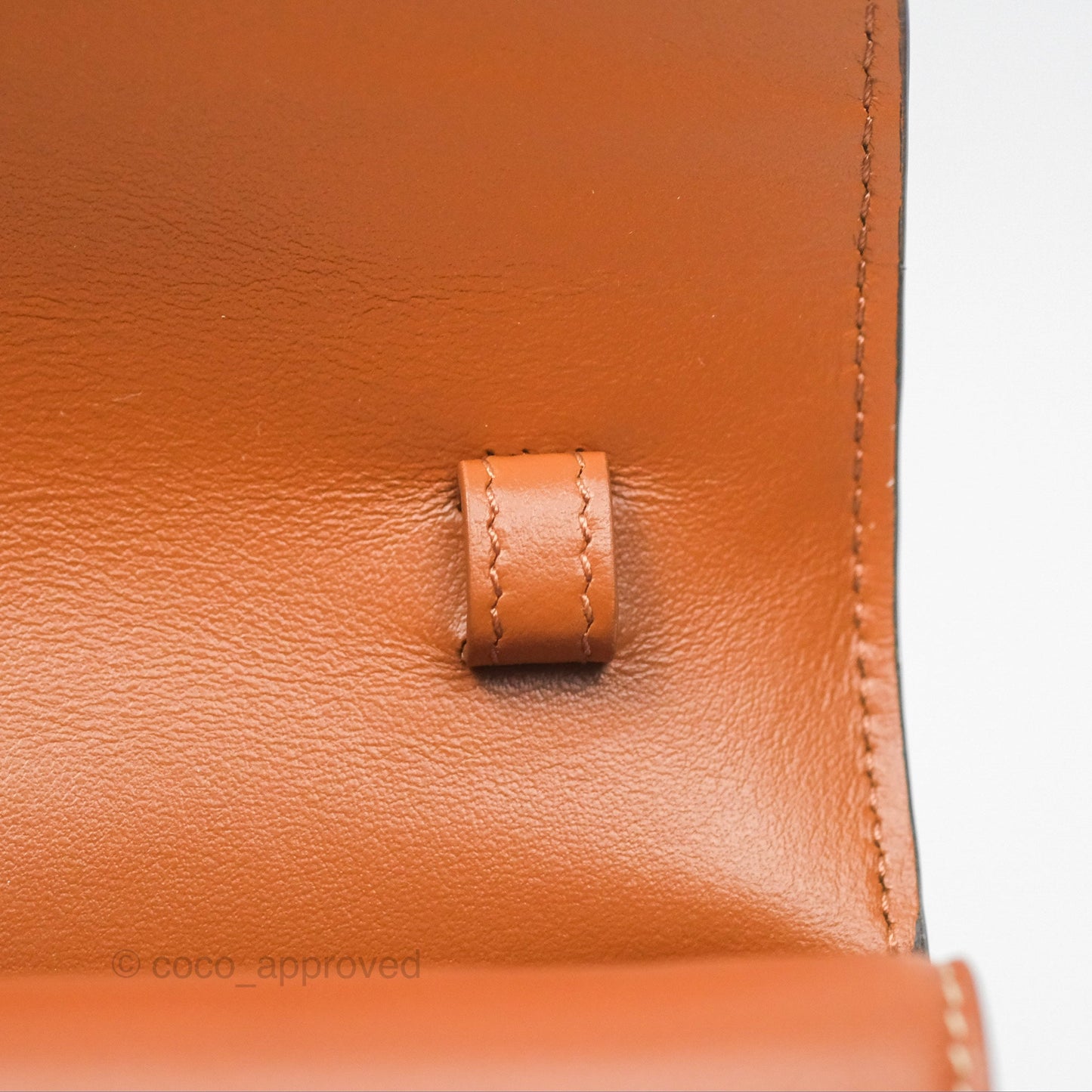 Celine Wallet On Strap Triomphe Canvas Tan Lambskin