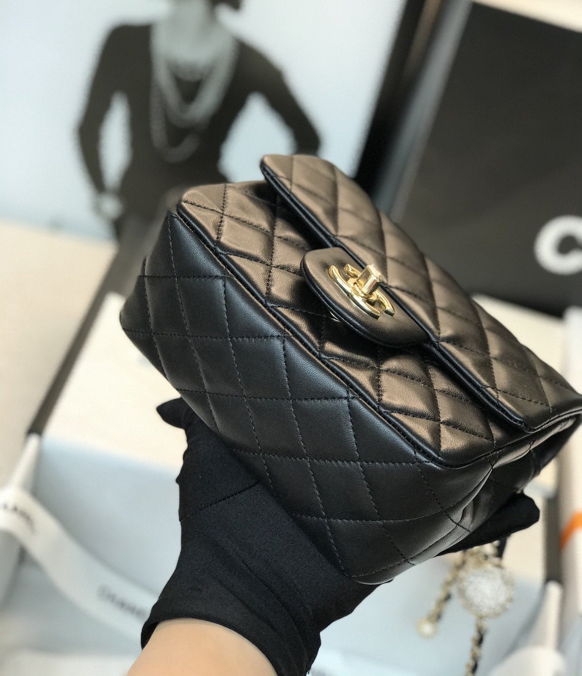 Luxury Edition Bags CH-L 171