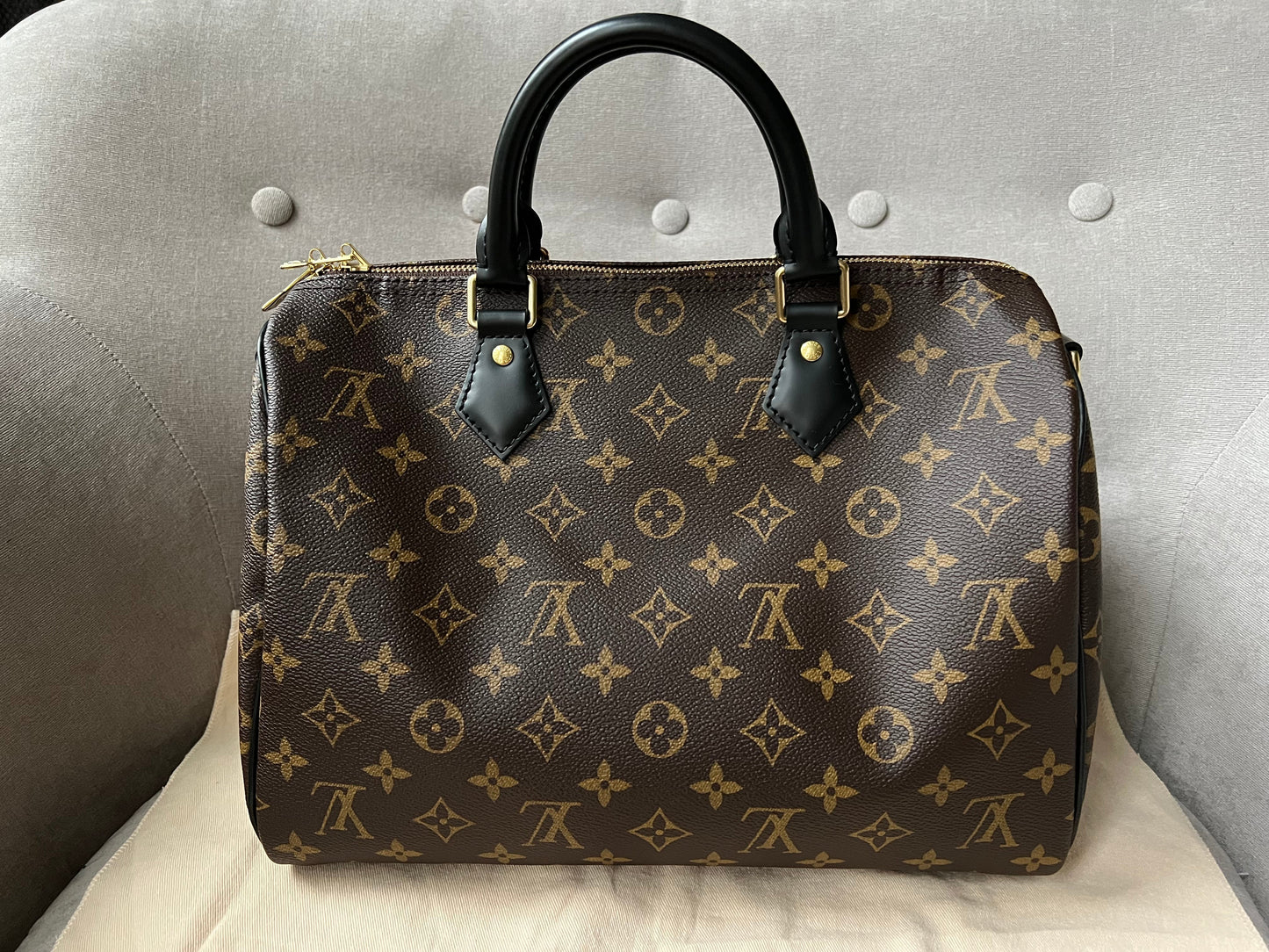 Louis Vuitton My LV World Tour Speedy 30 Bandouliere Monogram (RRP £1740)