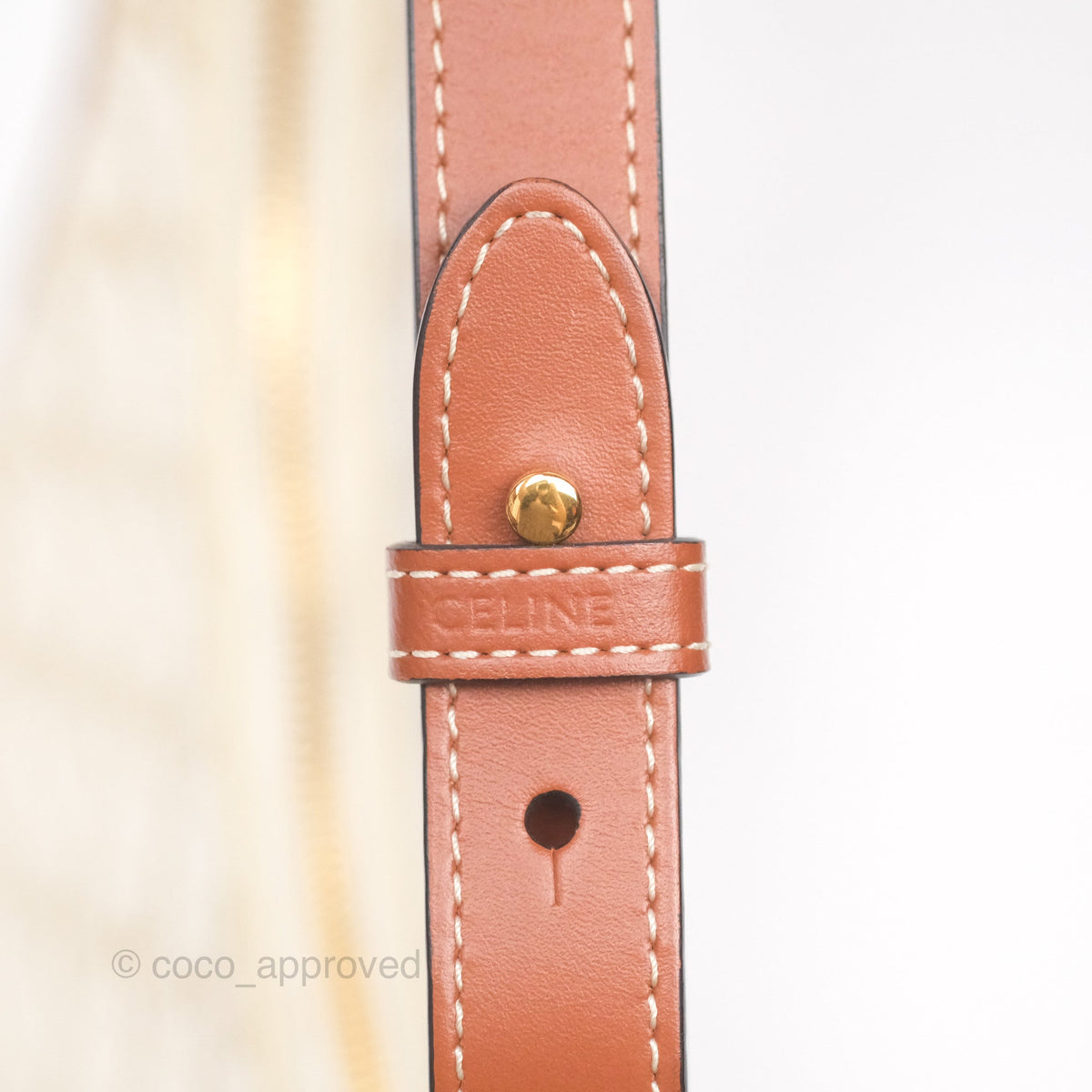 Celine Ava Bag In Triomphe Canvas Calfskin White